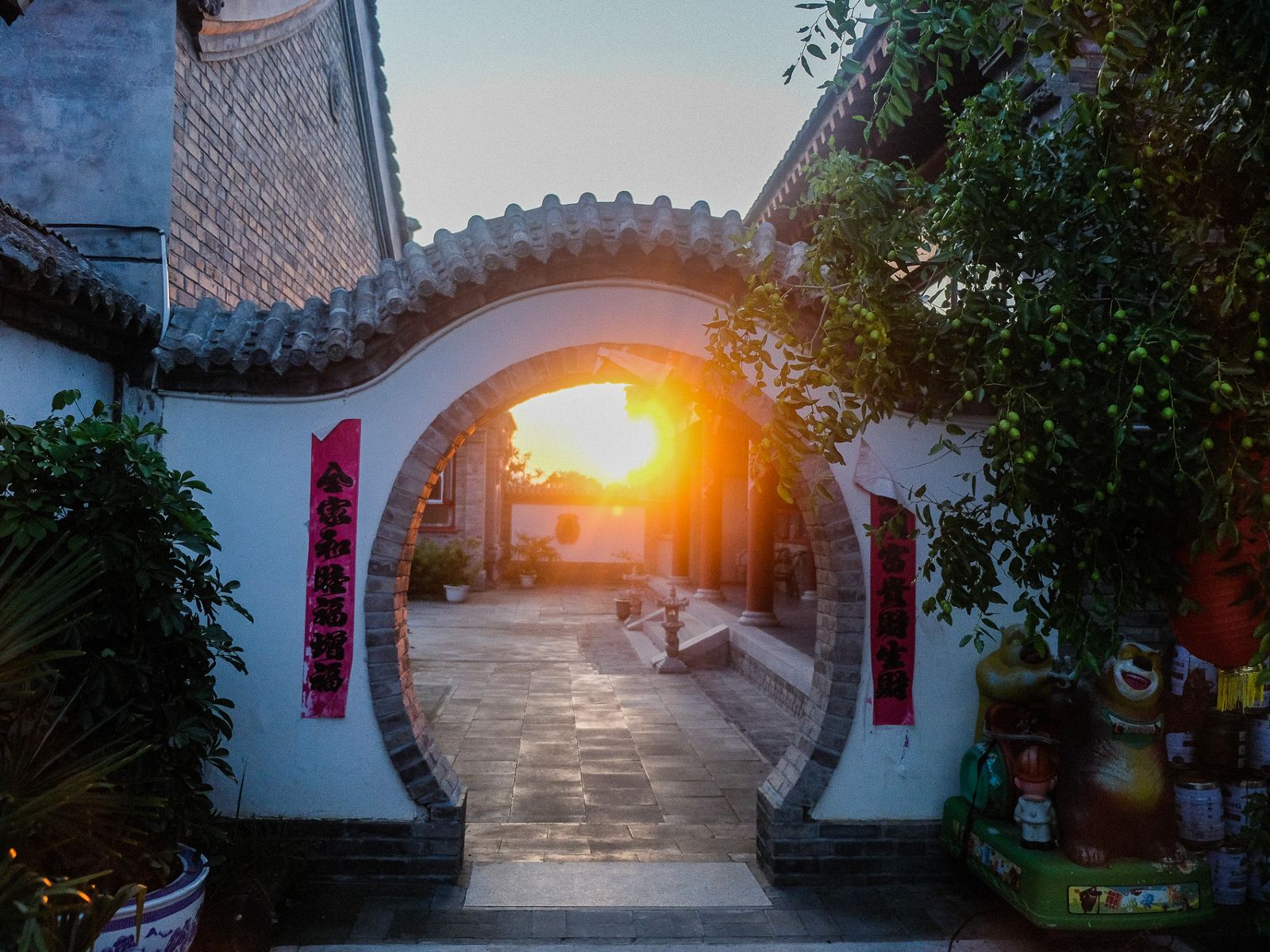 外观