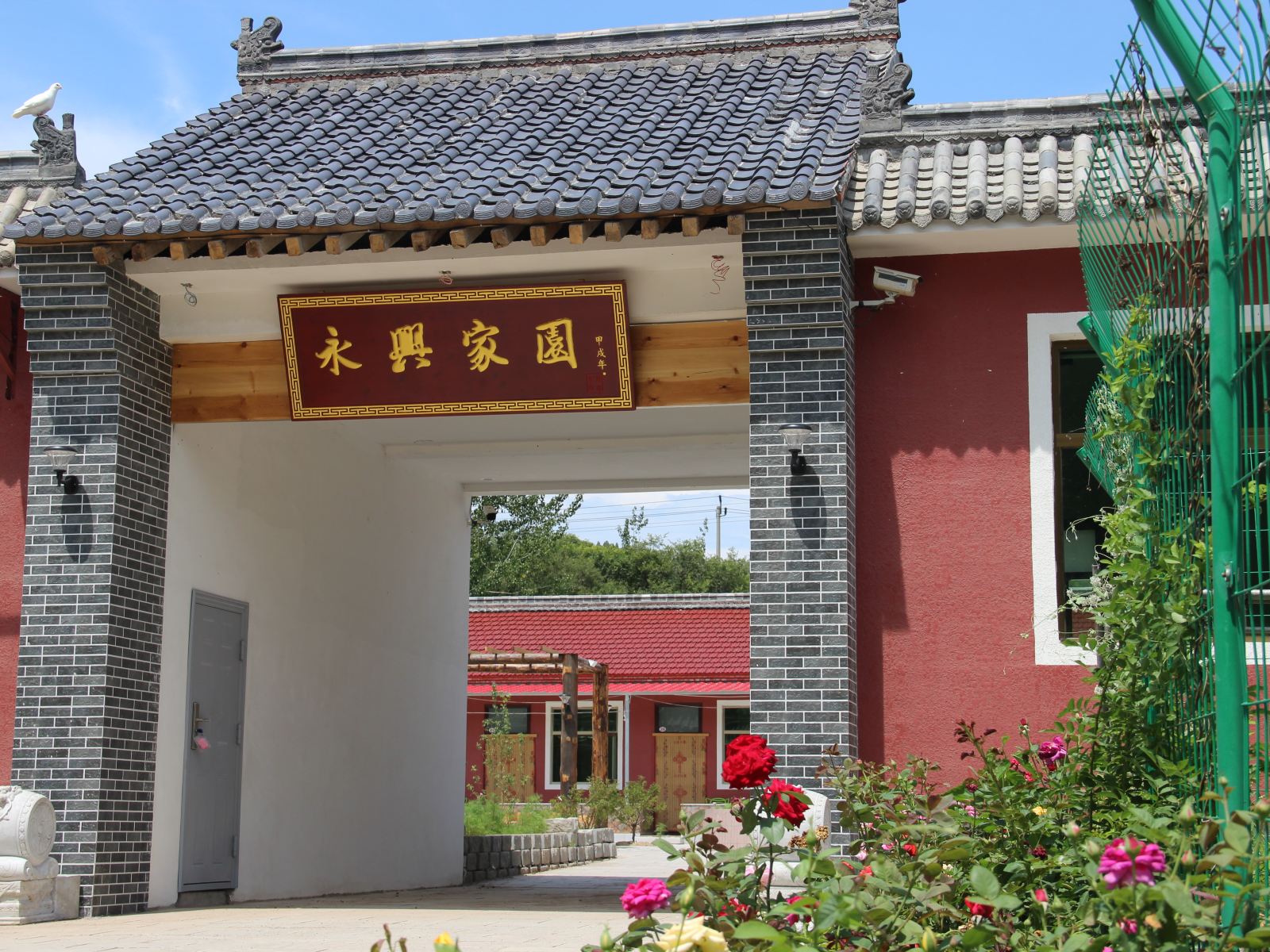 外观