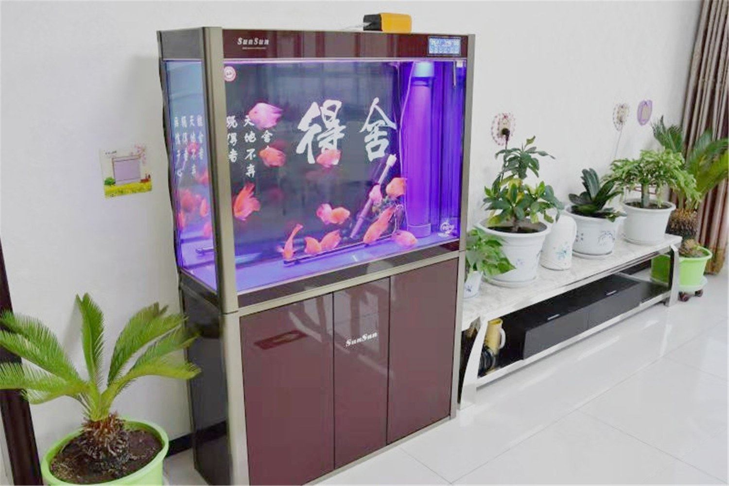 其他