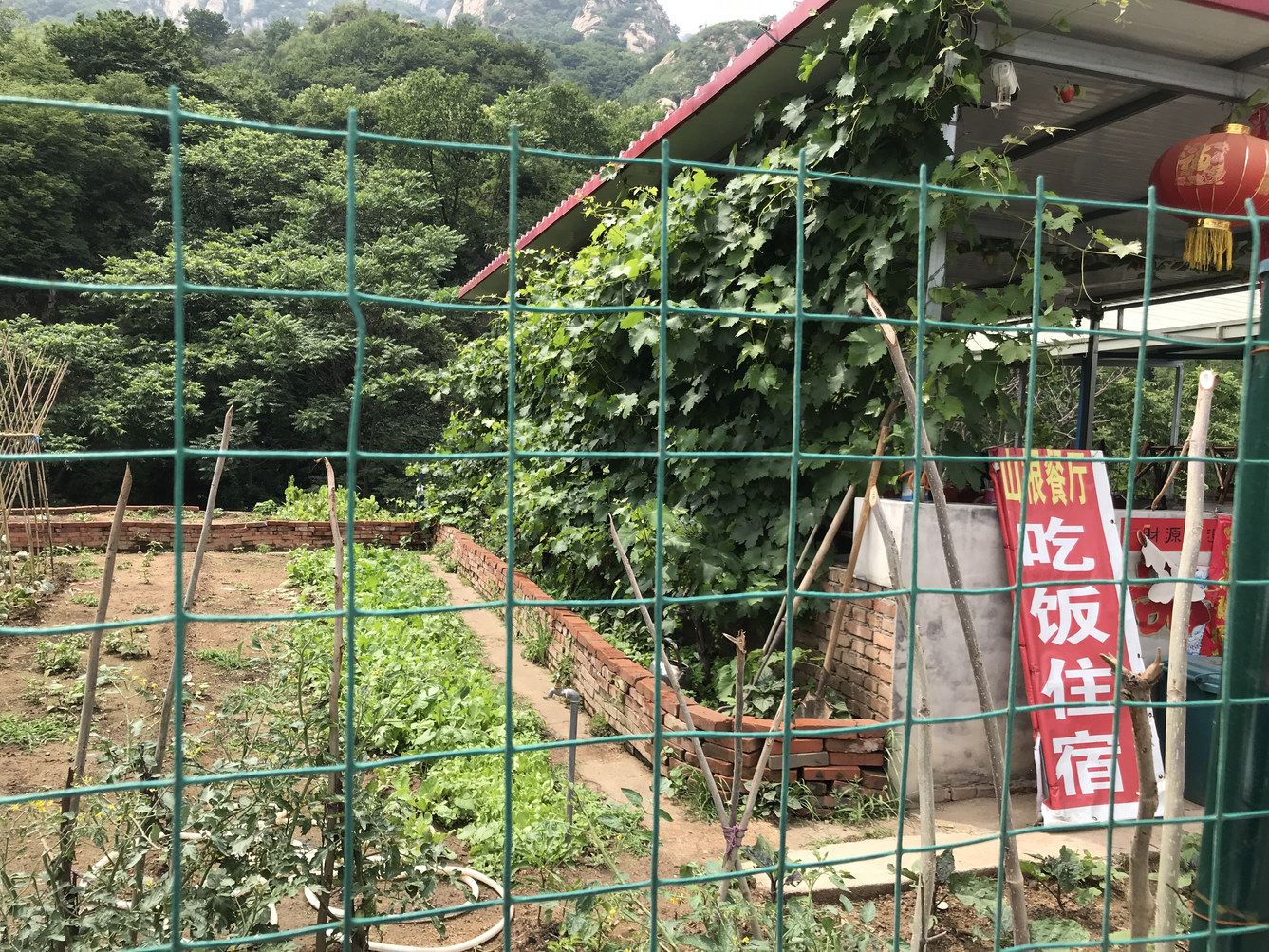 其他