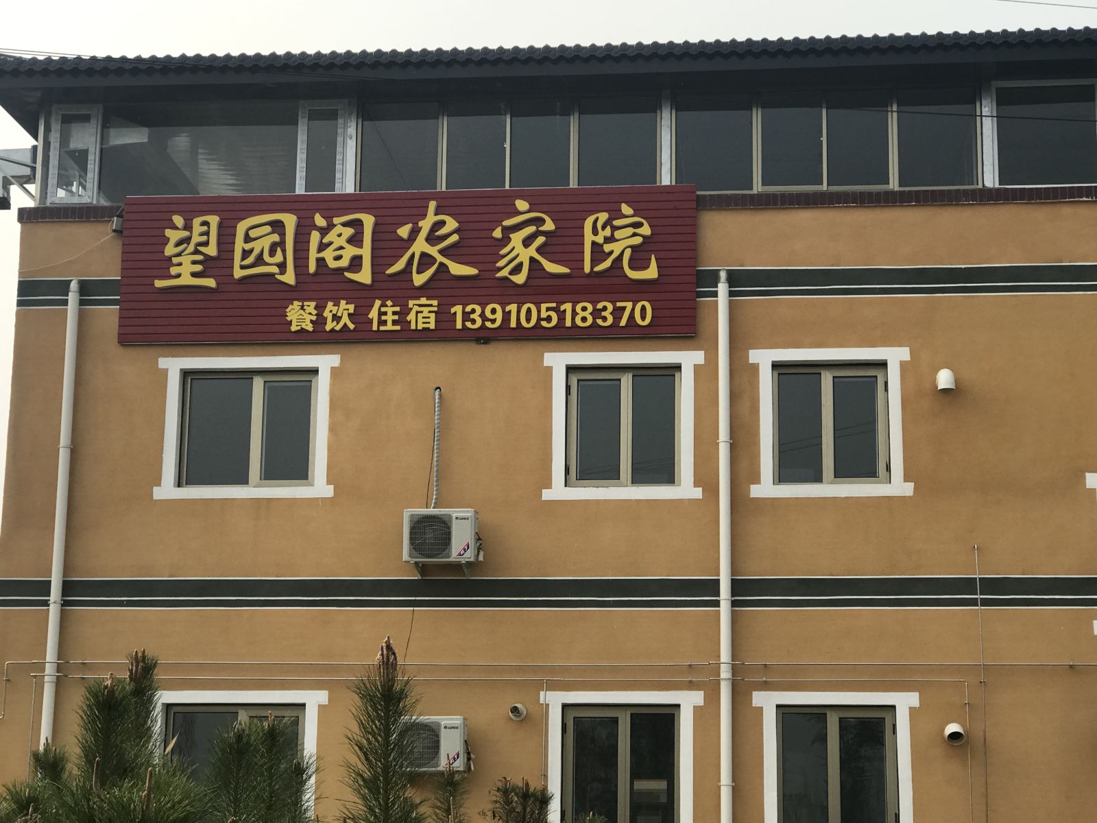 外观