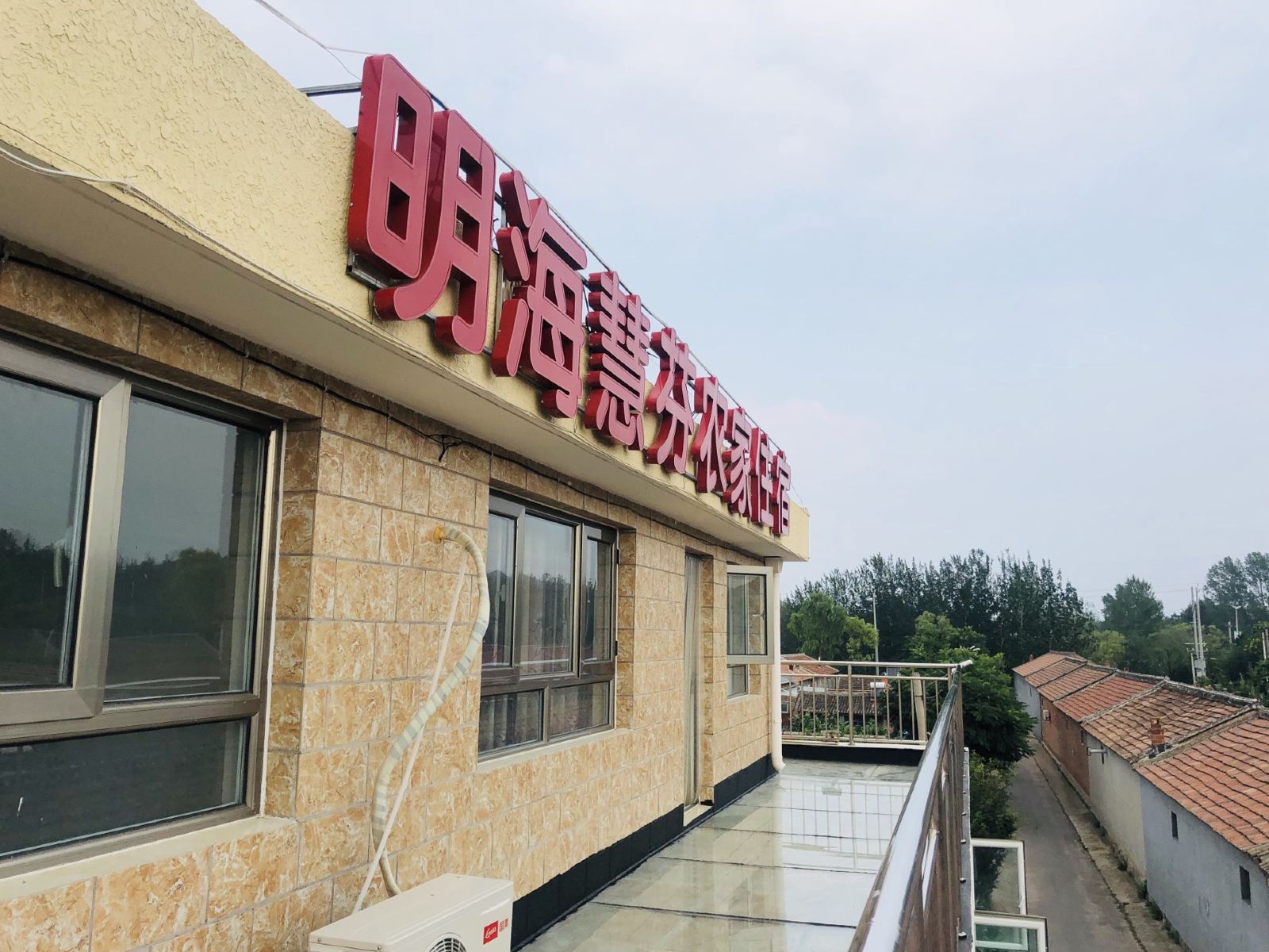 外观