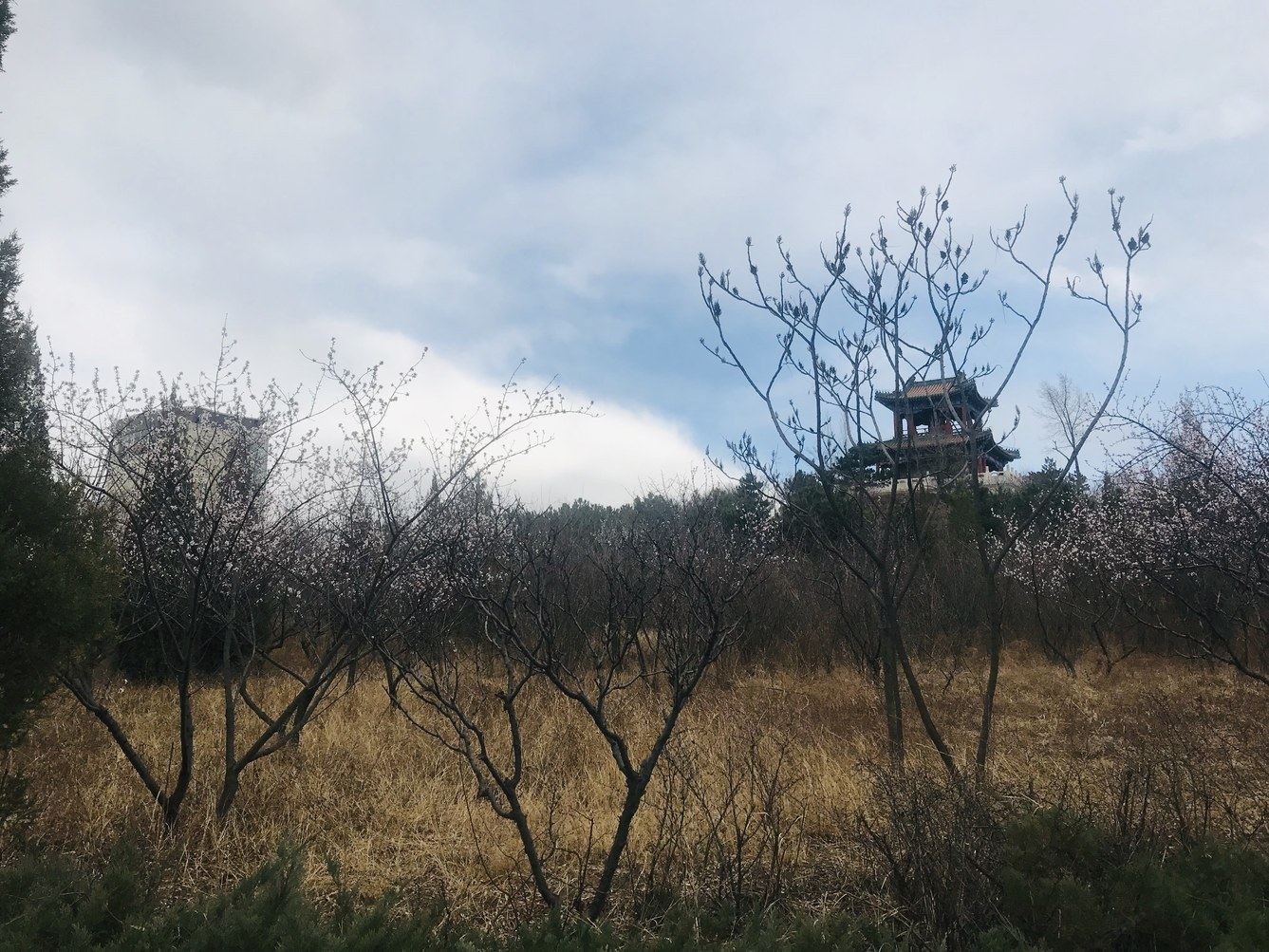 其他