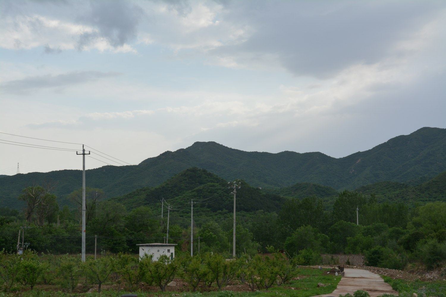 其他