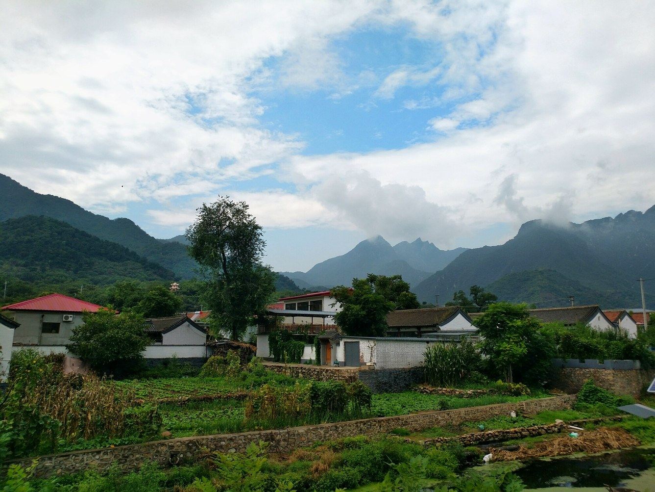 其他