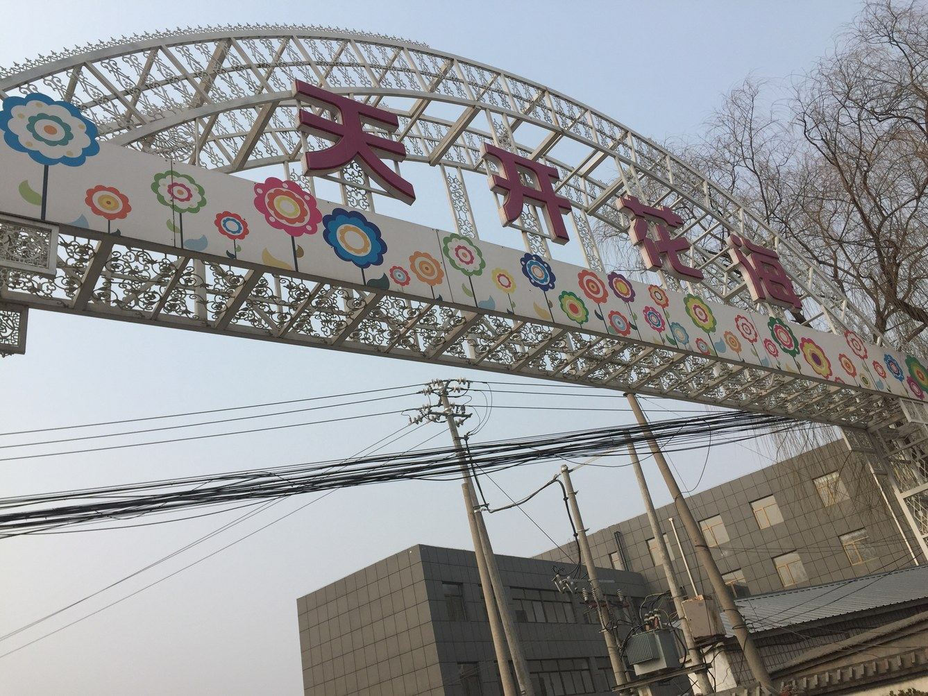 其他