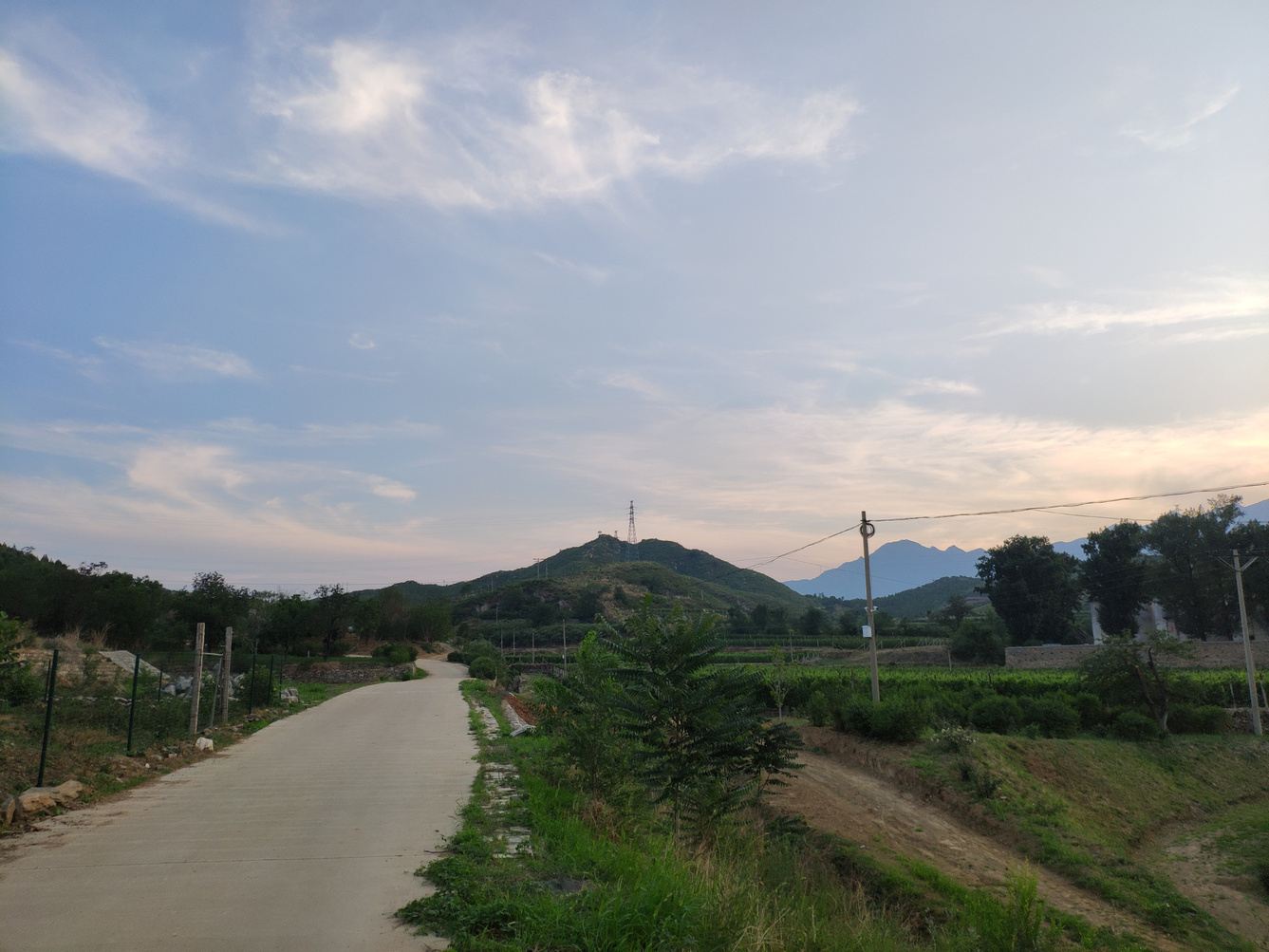 其他
