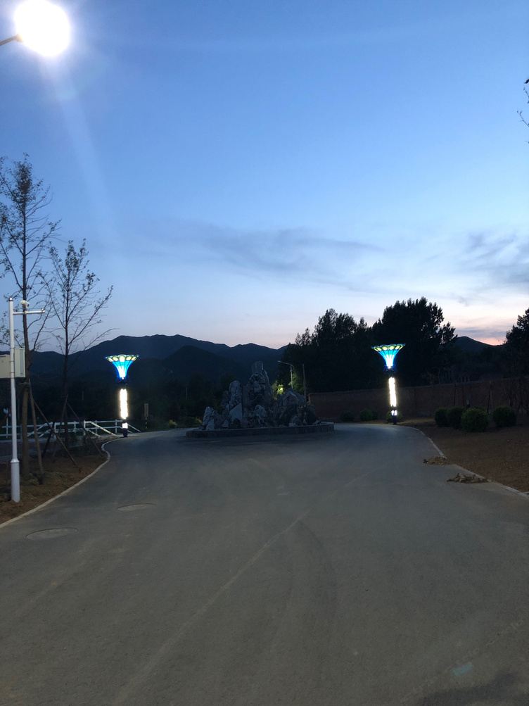 其他