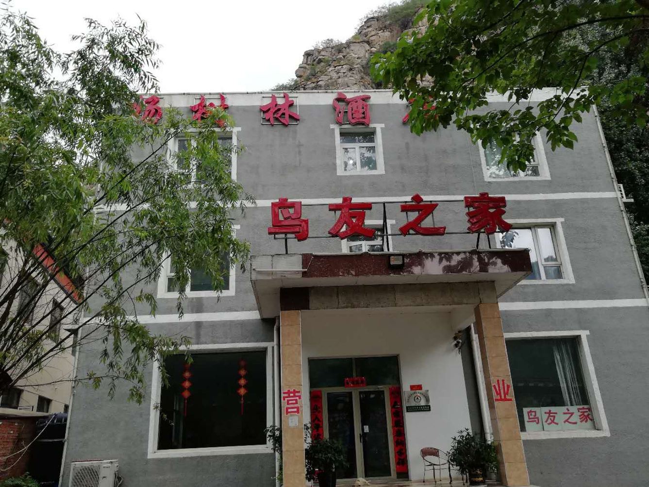 其他