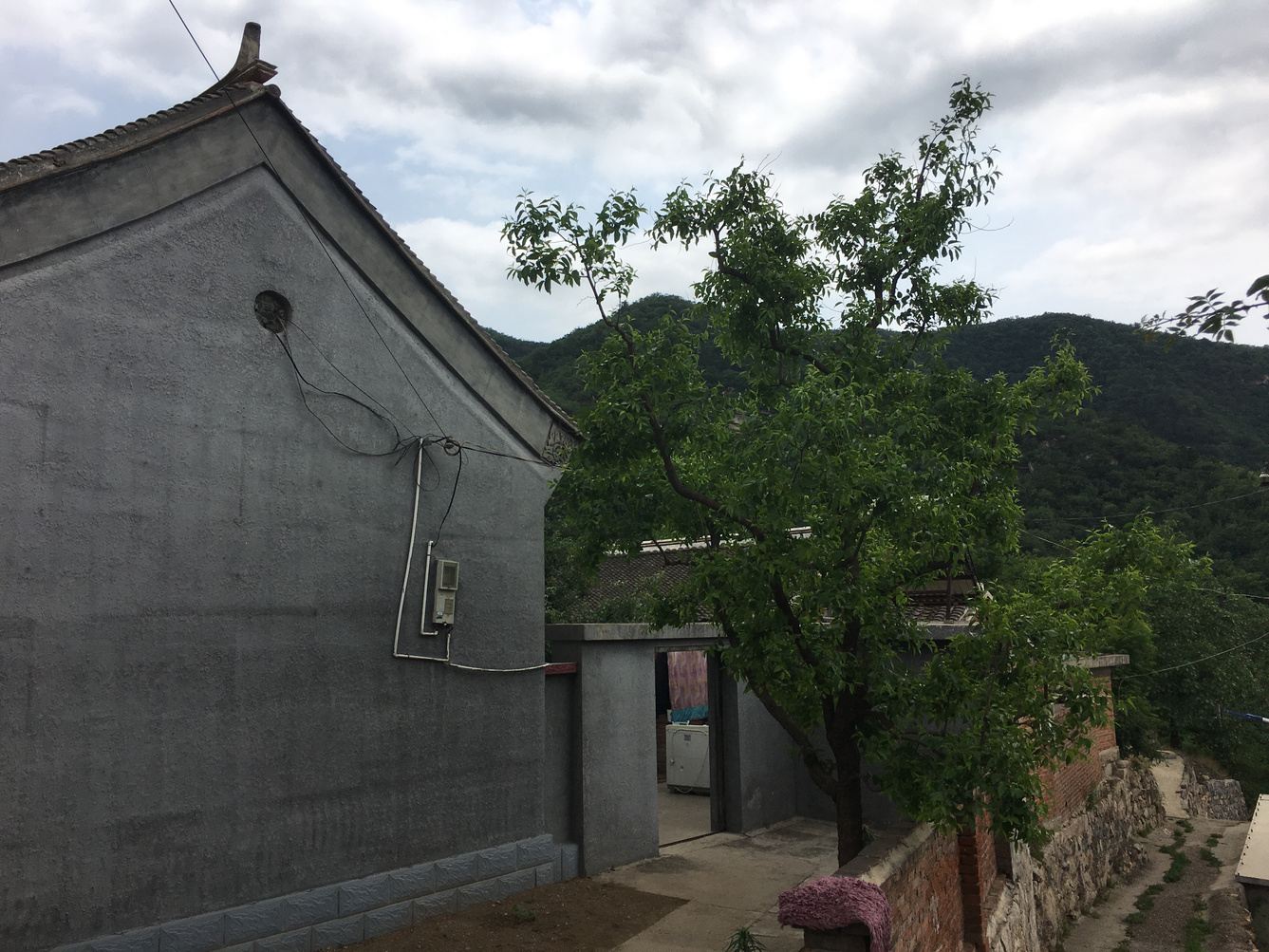 其他