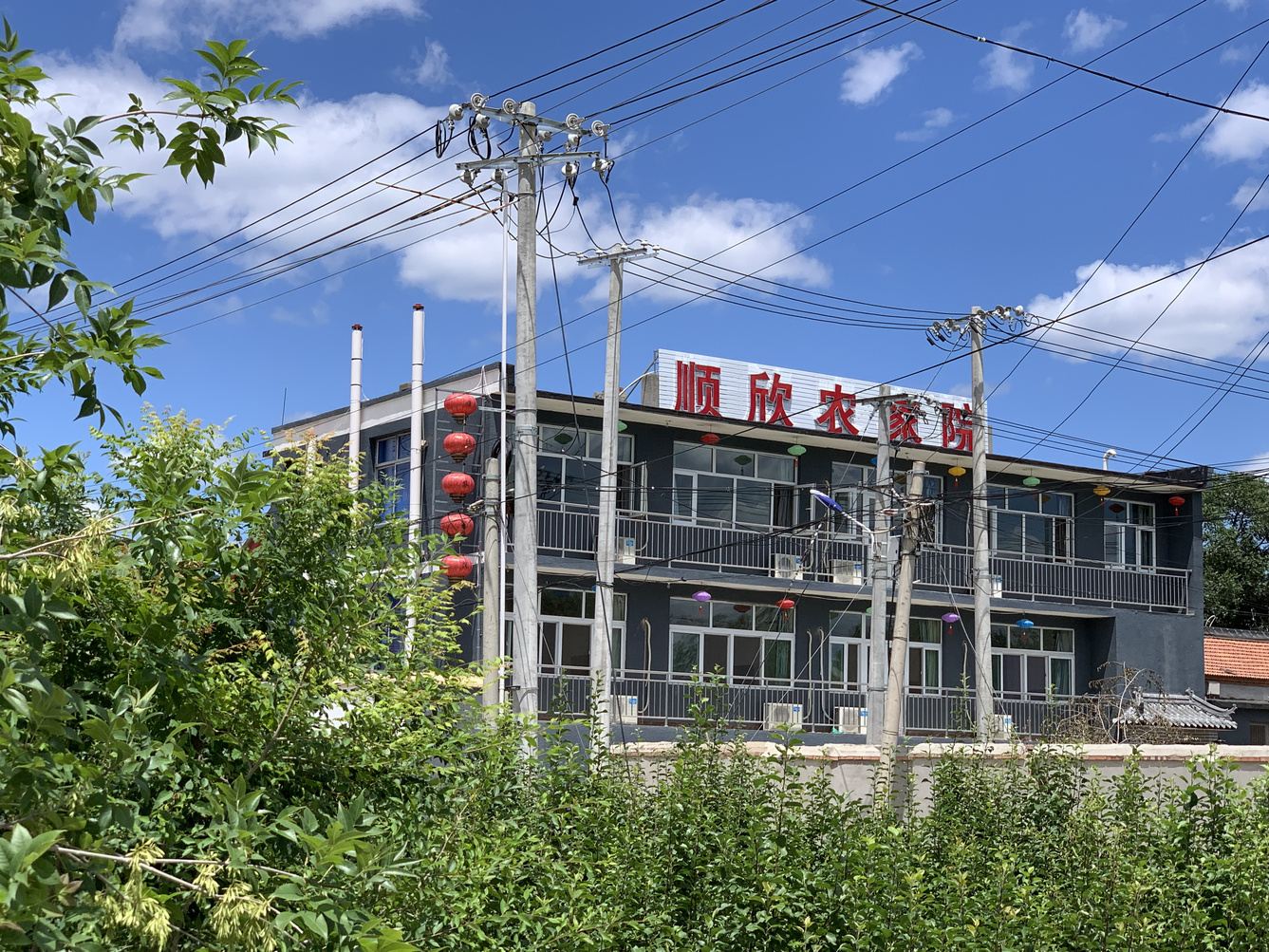 其他