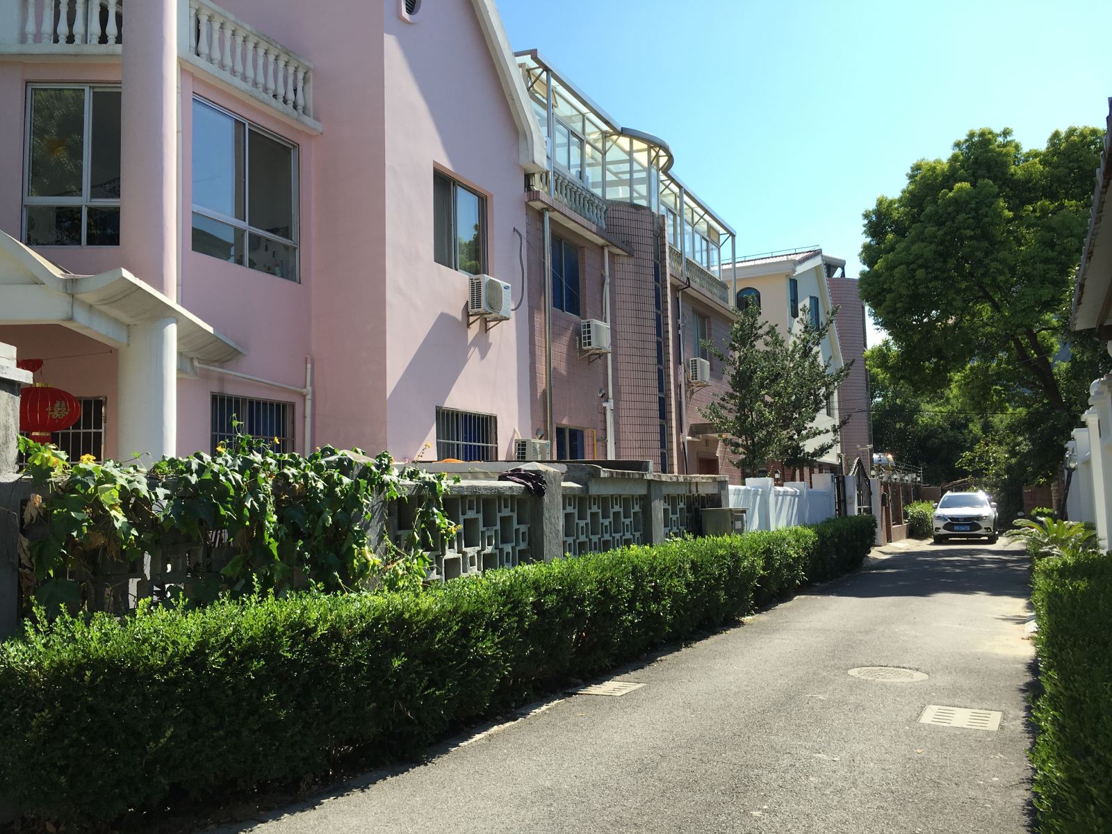 上海树屋小栈