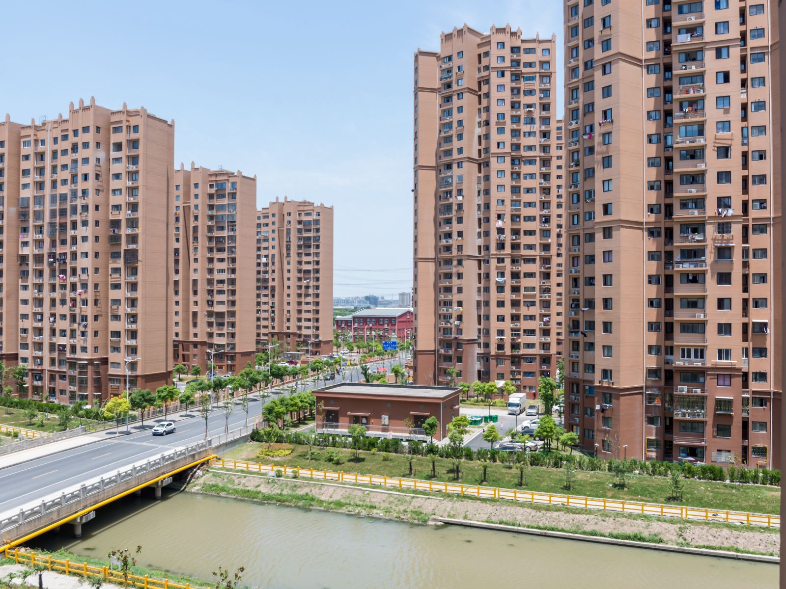 上海小猫咪家园