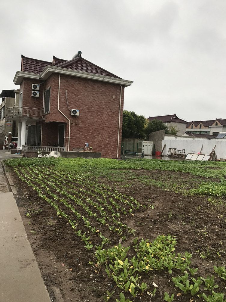 上海馨窈的小别野农家乐