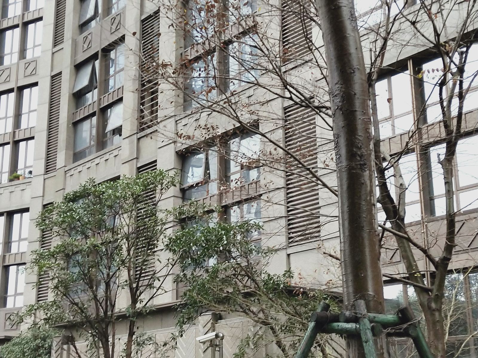 上海随尘民宿
