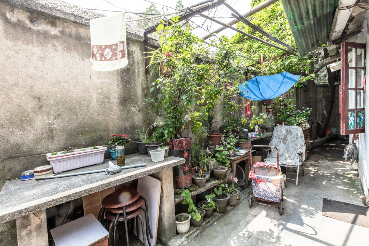上海benny之家公寓(46号店)