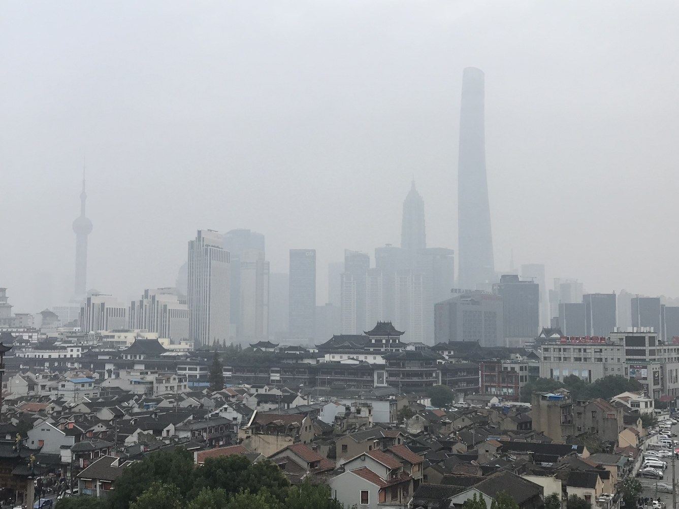 上海楚门的视界公寓