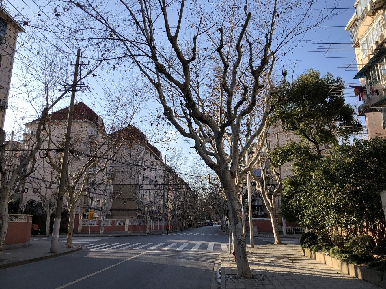 上海靠近外滩海派石库门一间有人情味的民宿(4号店)