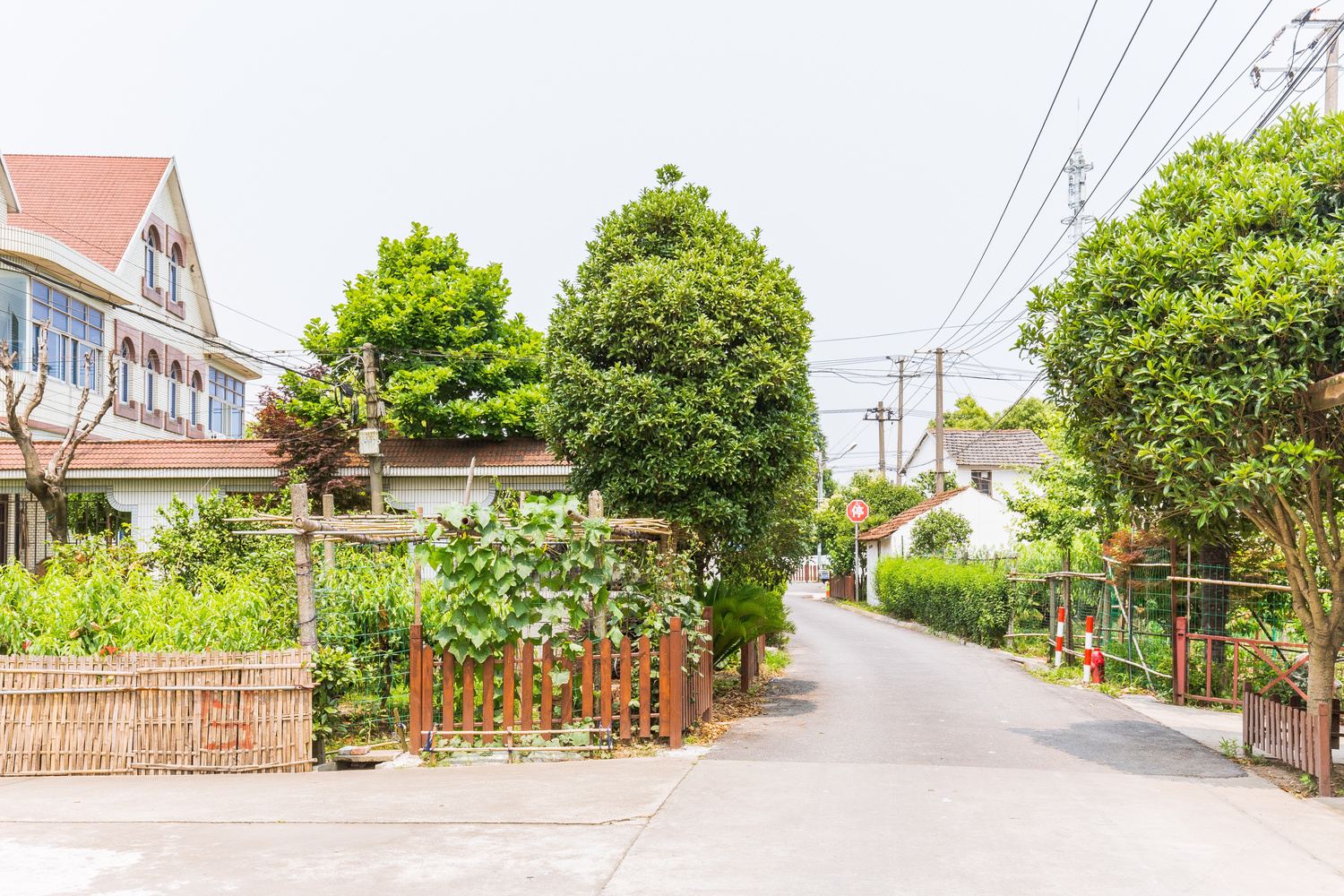 上海迪园小筑(2号店)