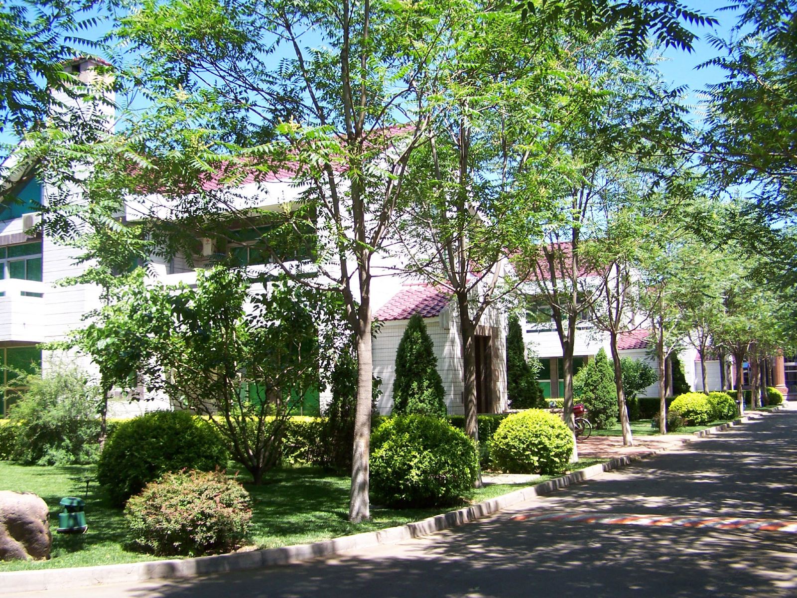 公共区域