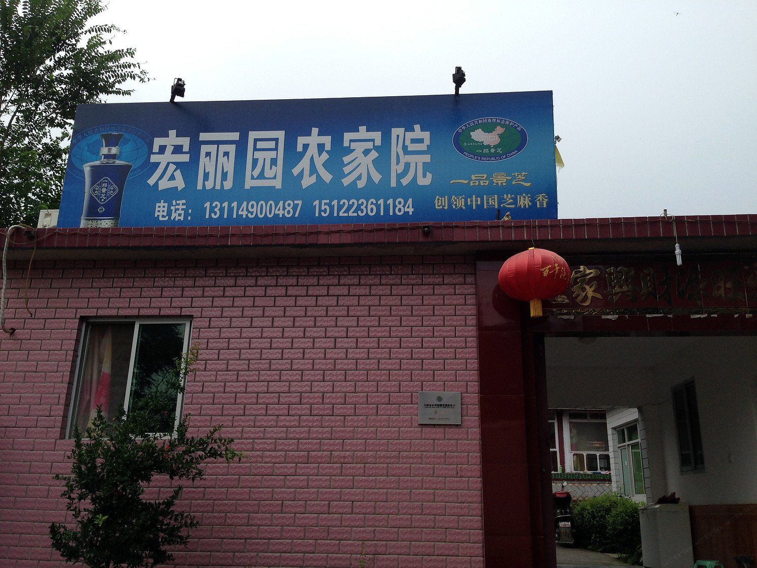 外观