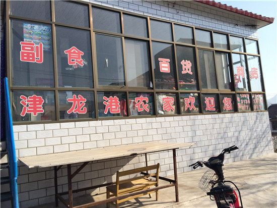 天津津龙港农家院