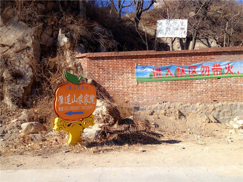 天津崔连山农家院