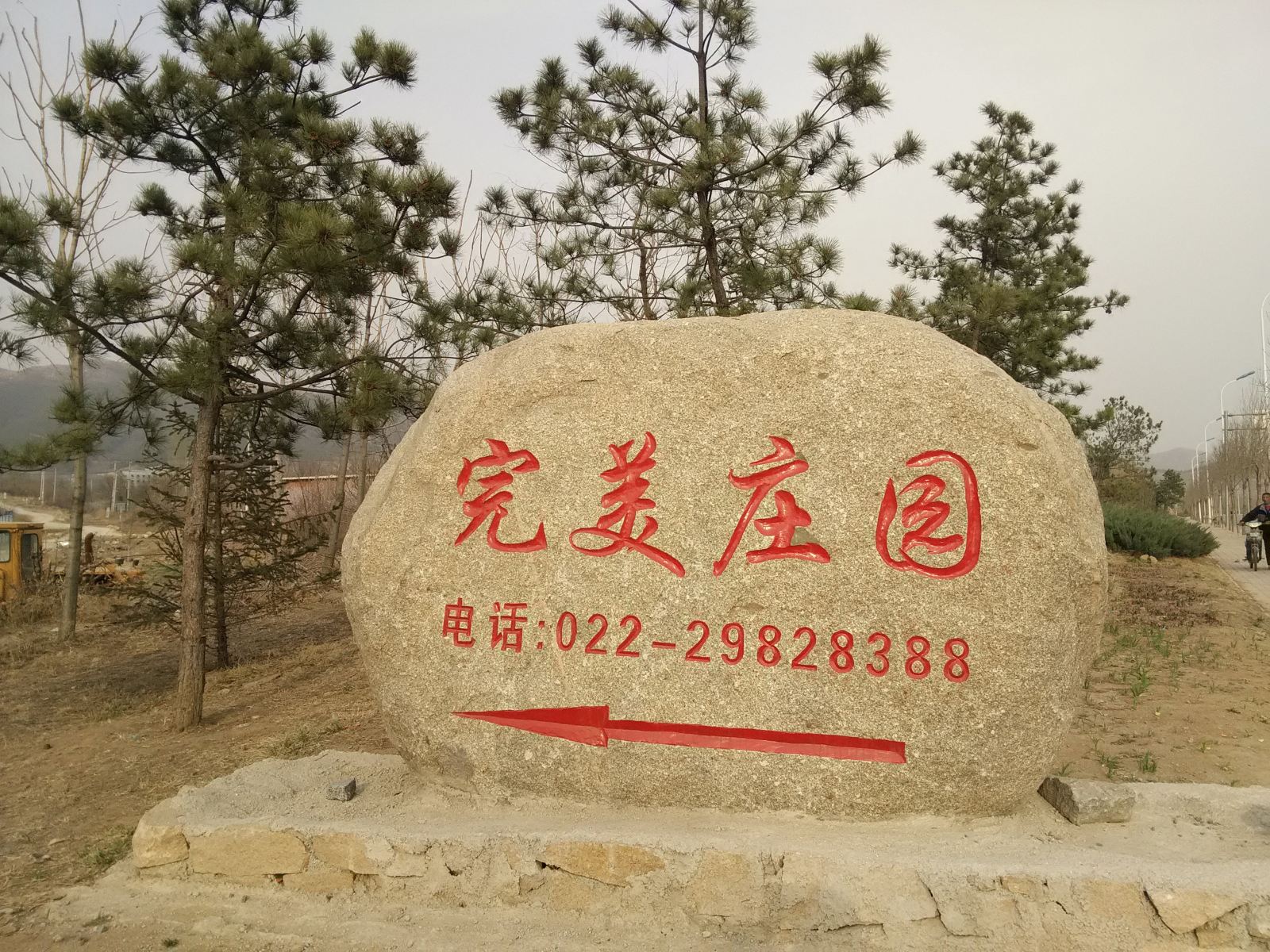 外观