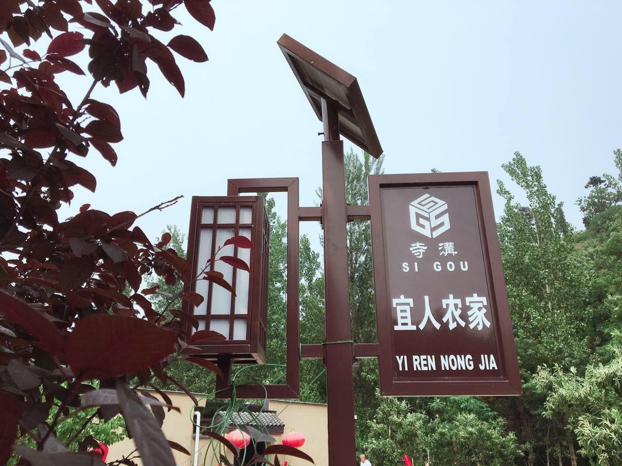 外观