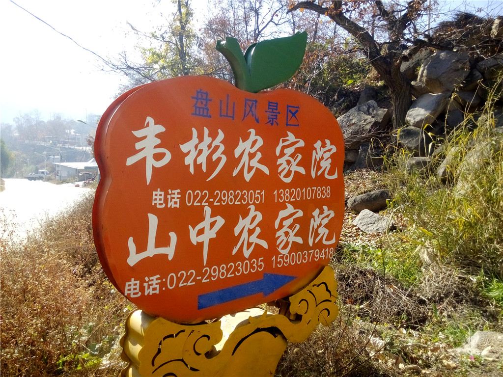 天津韦彬农家院