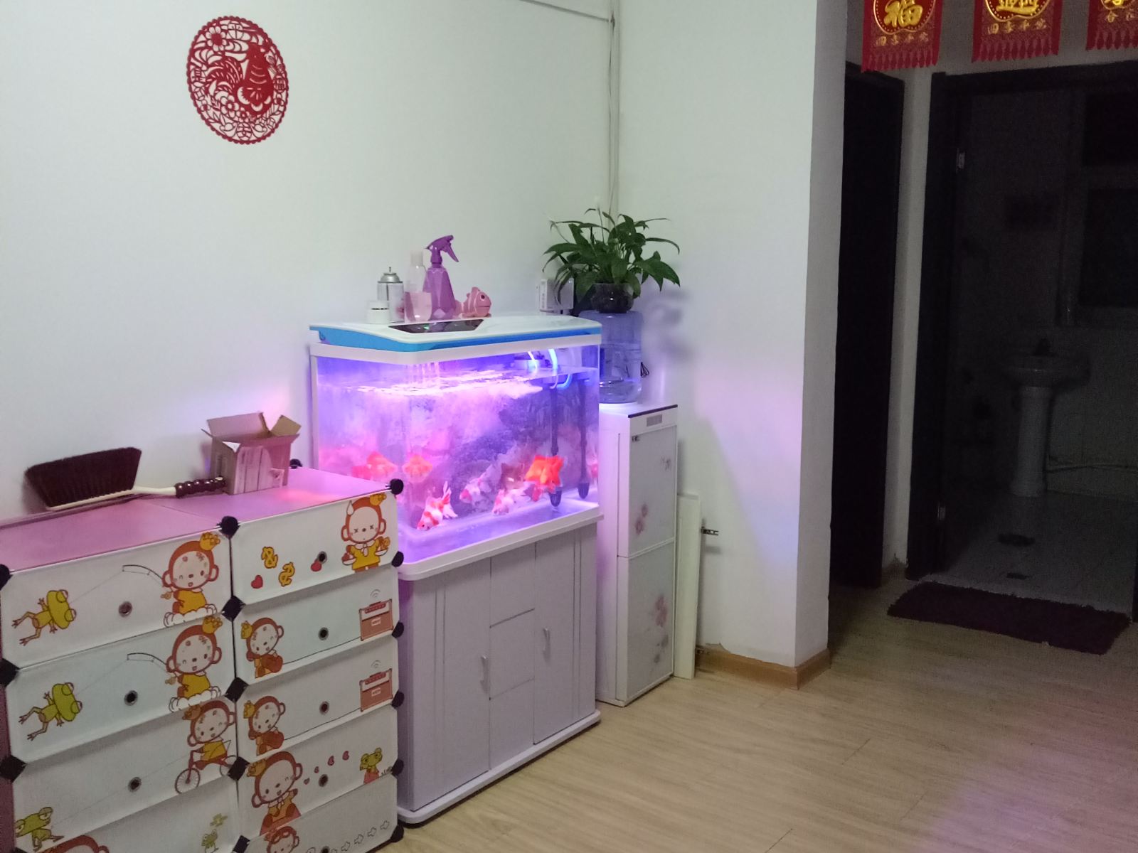 公共区域