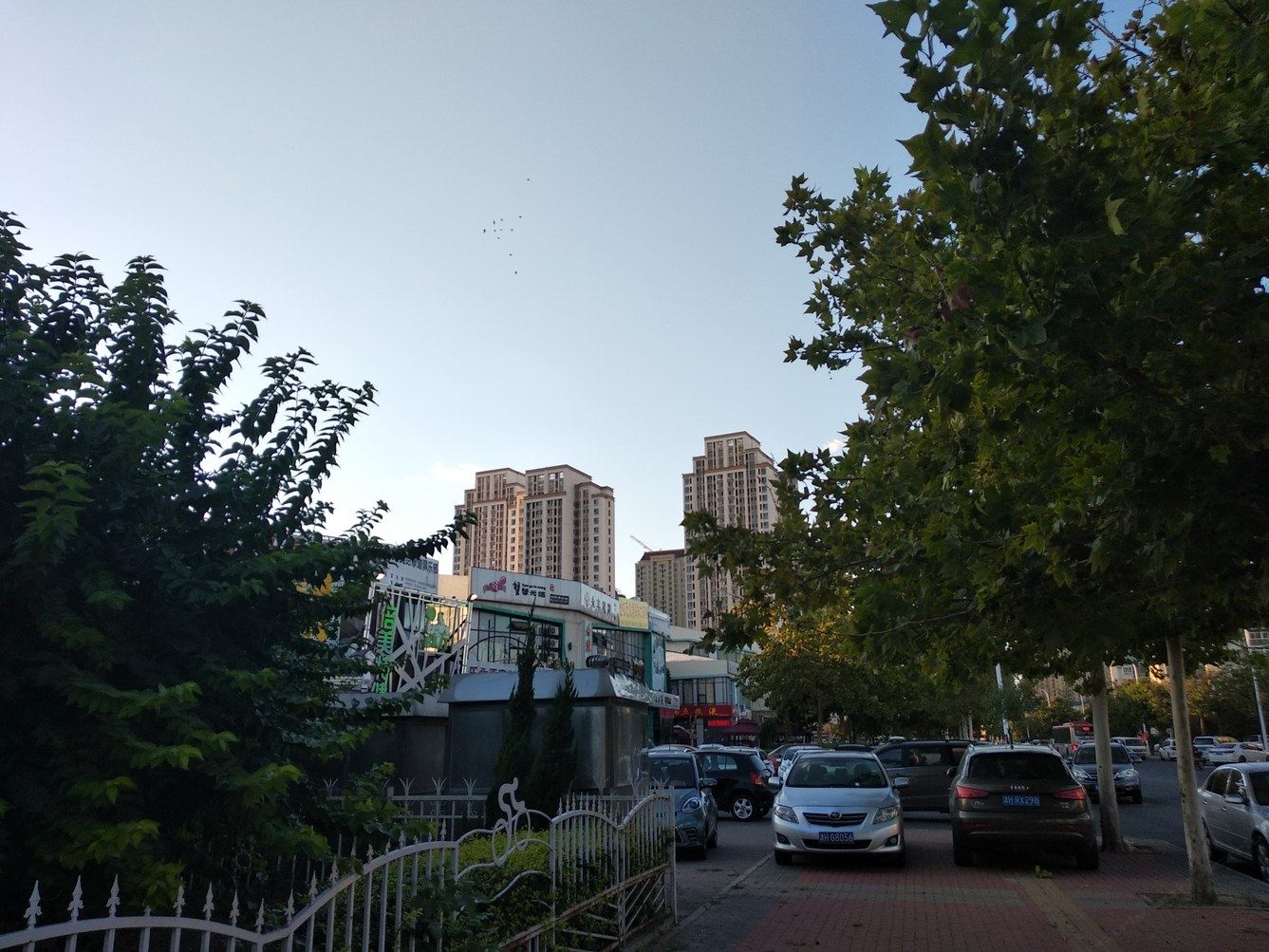 其他