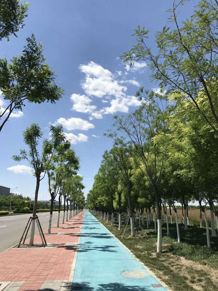 天津高爱萍公寓(西安道分店)