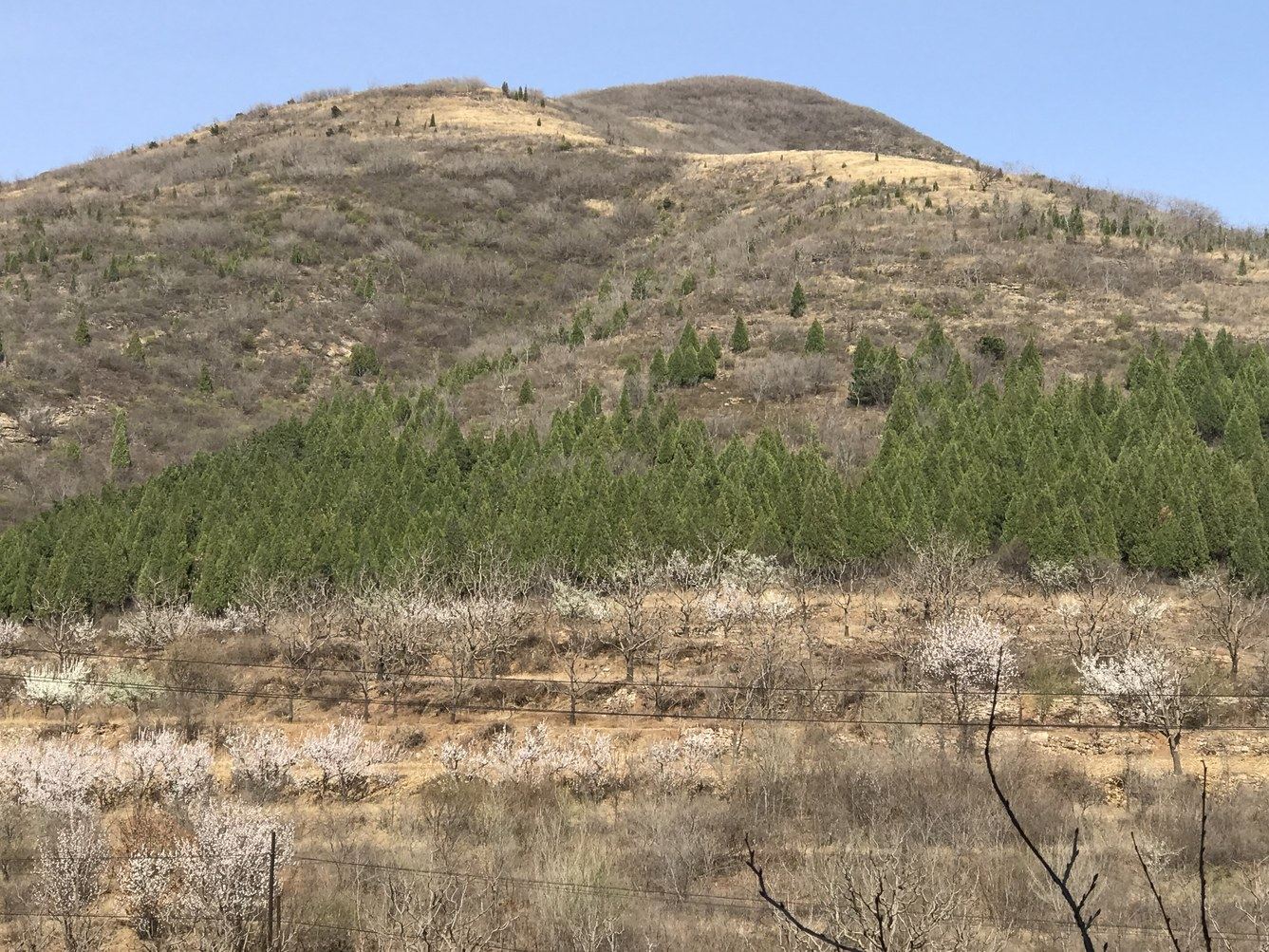 天津庄果峪农家休闲