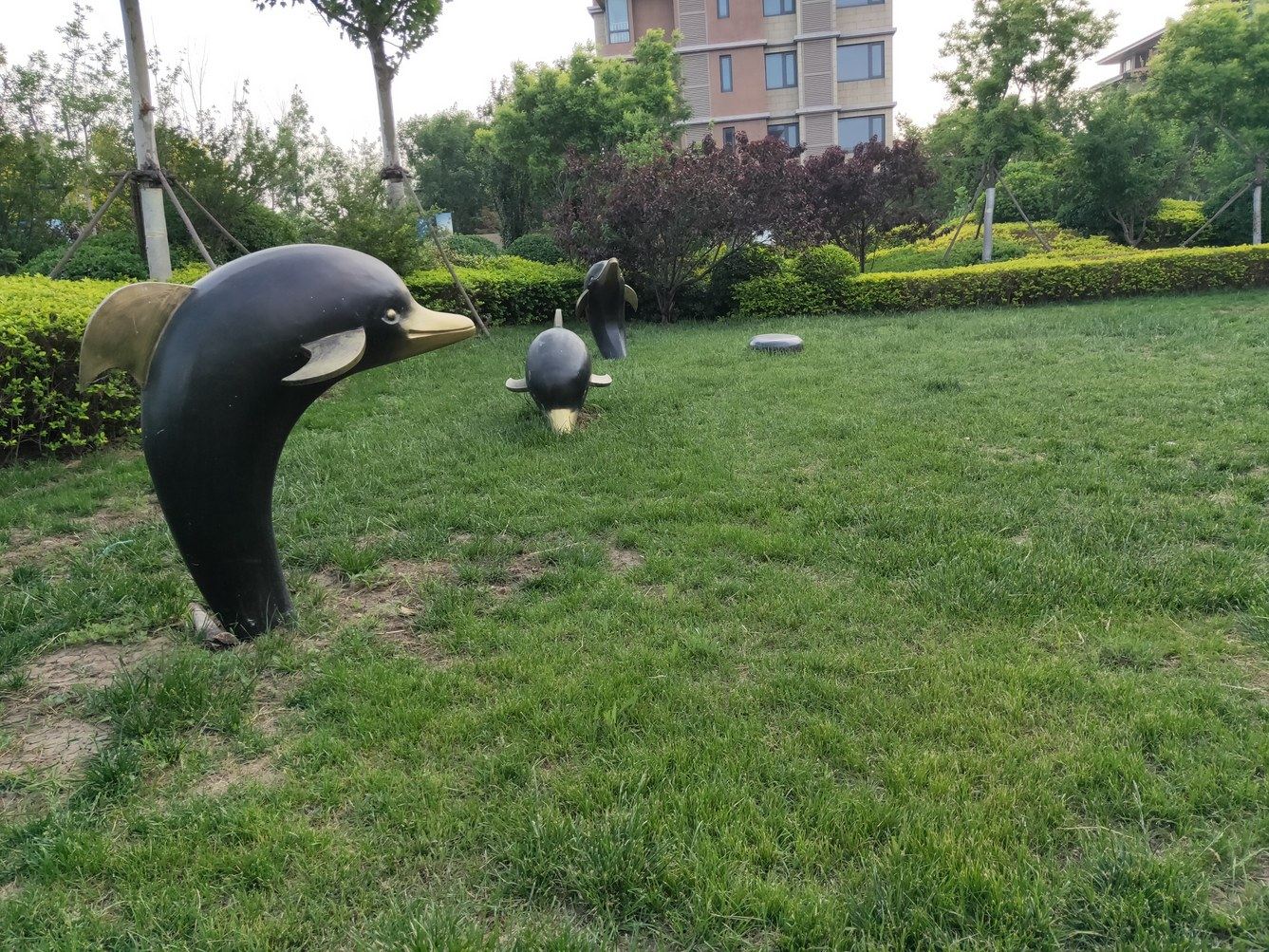 其他