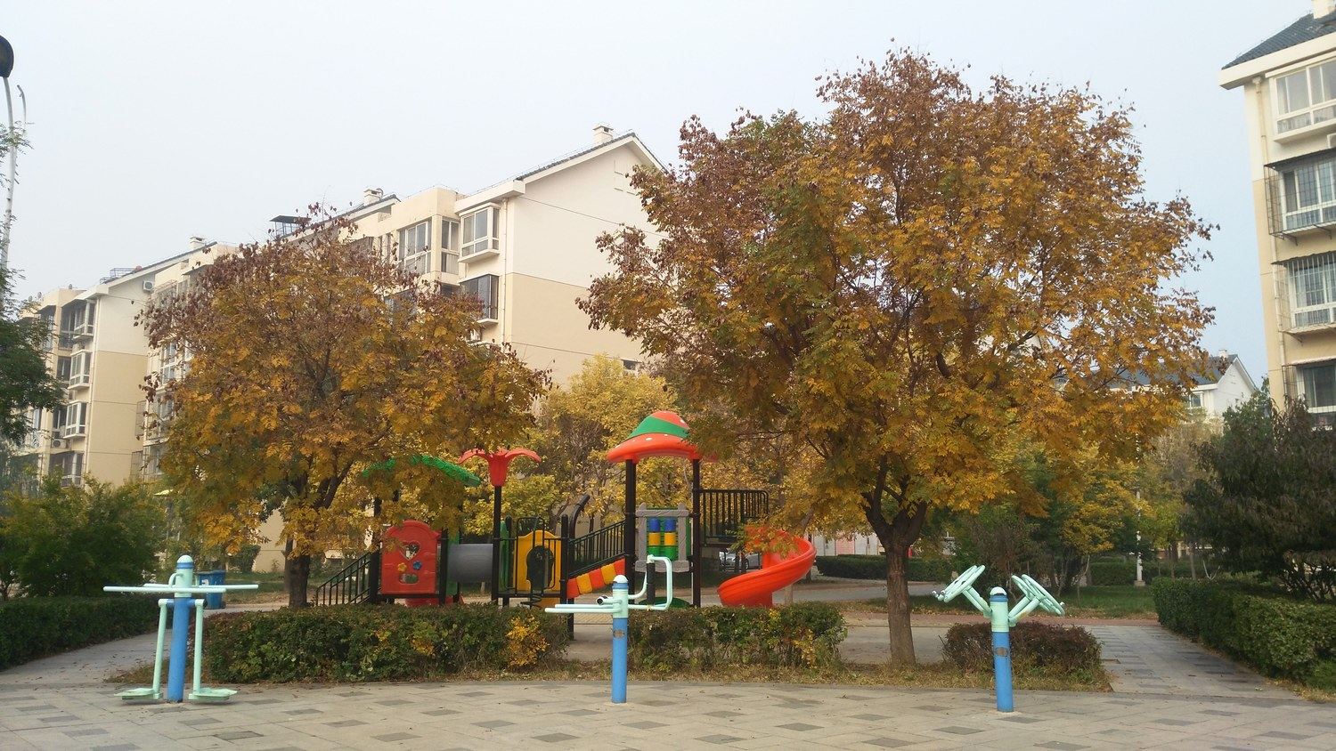 其他