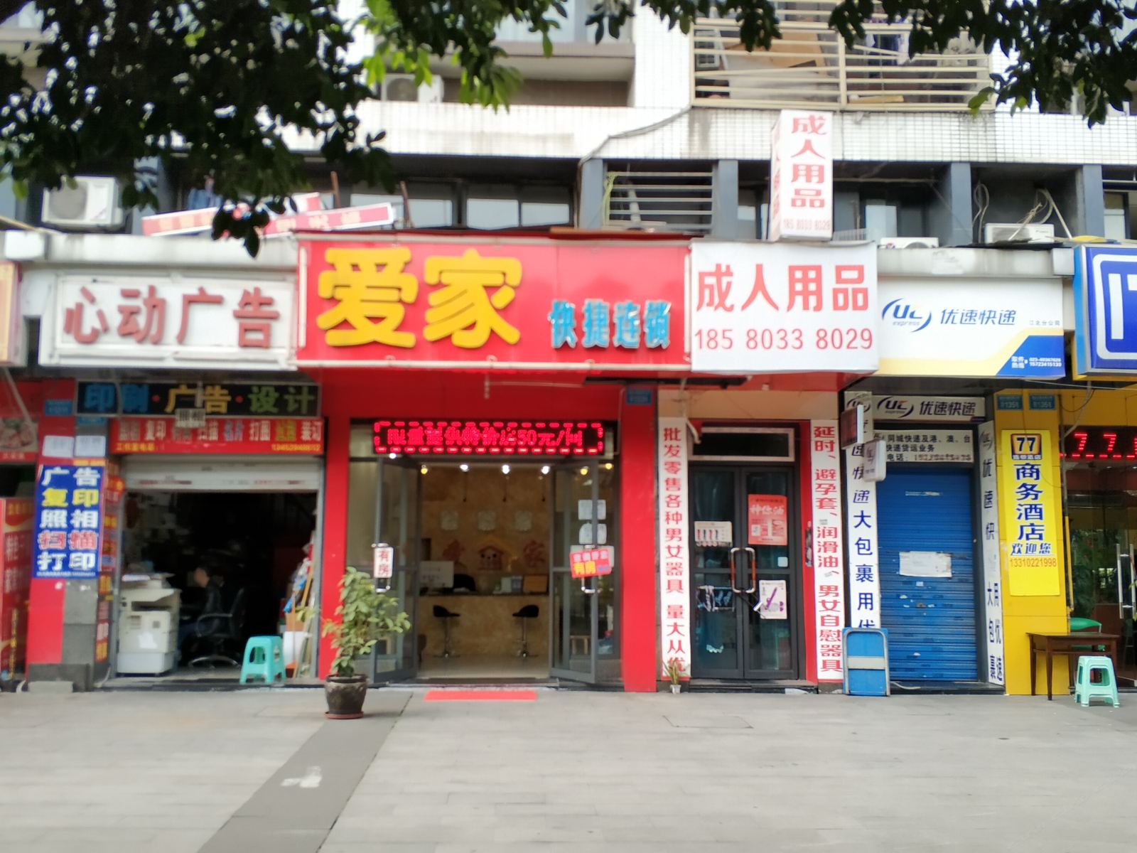外观