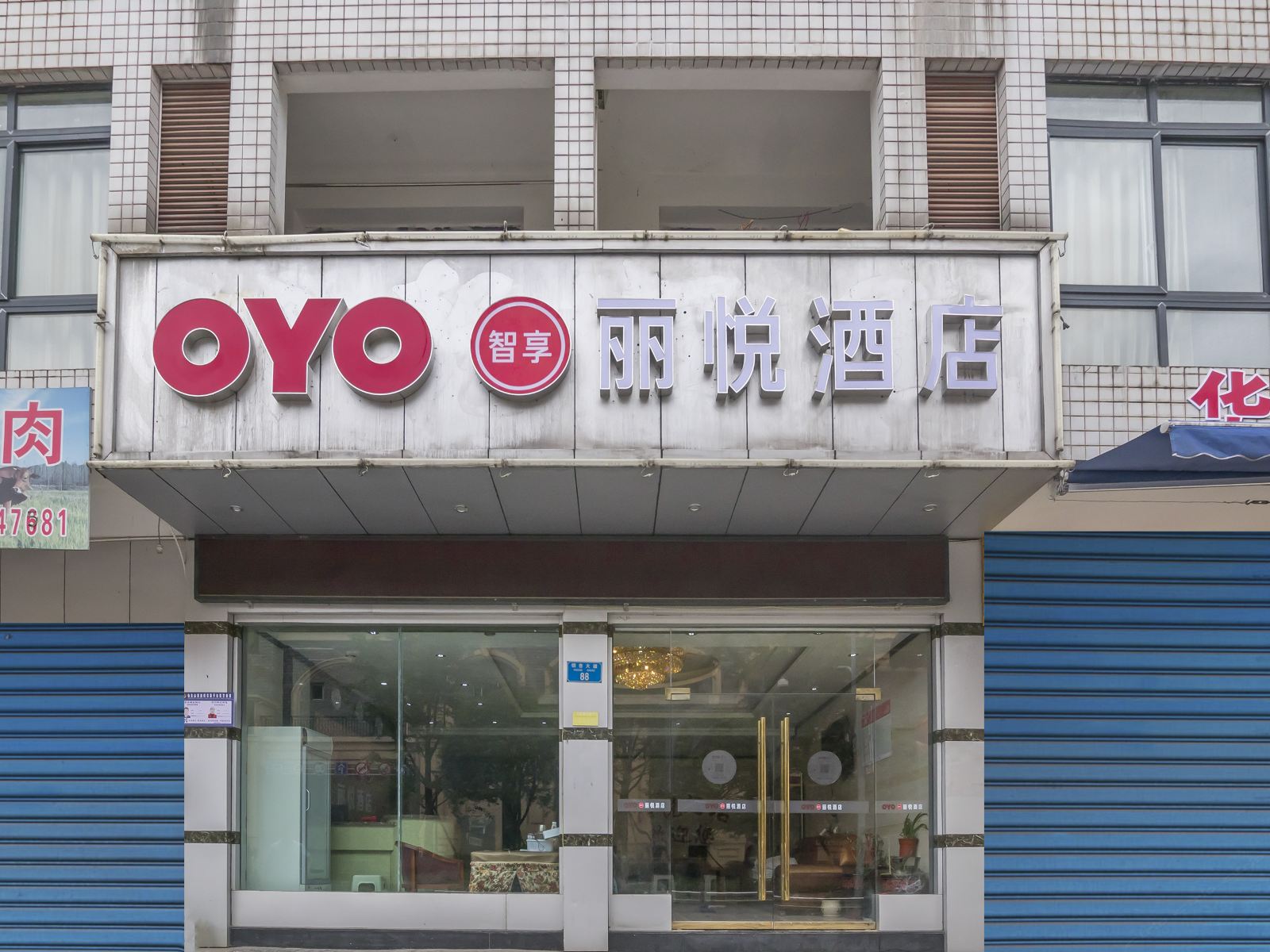 外观