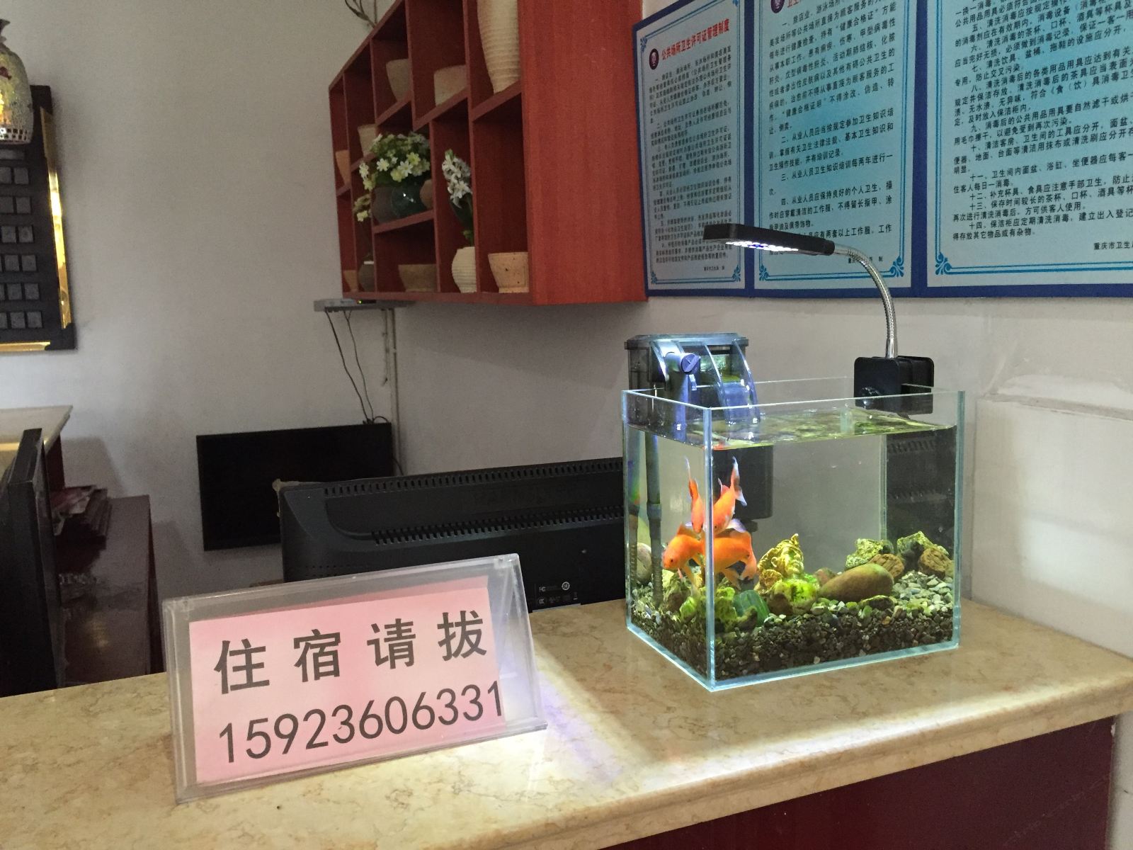 公共区域
