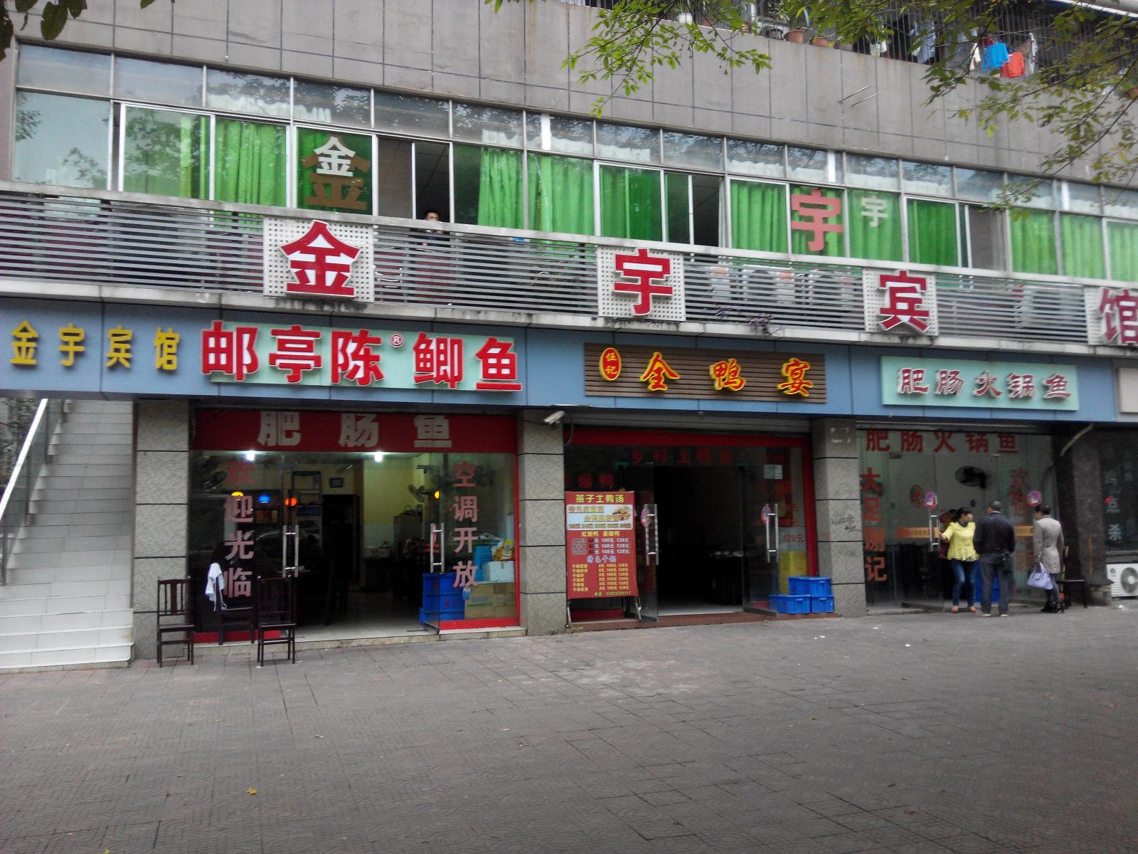 外观