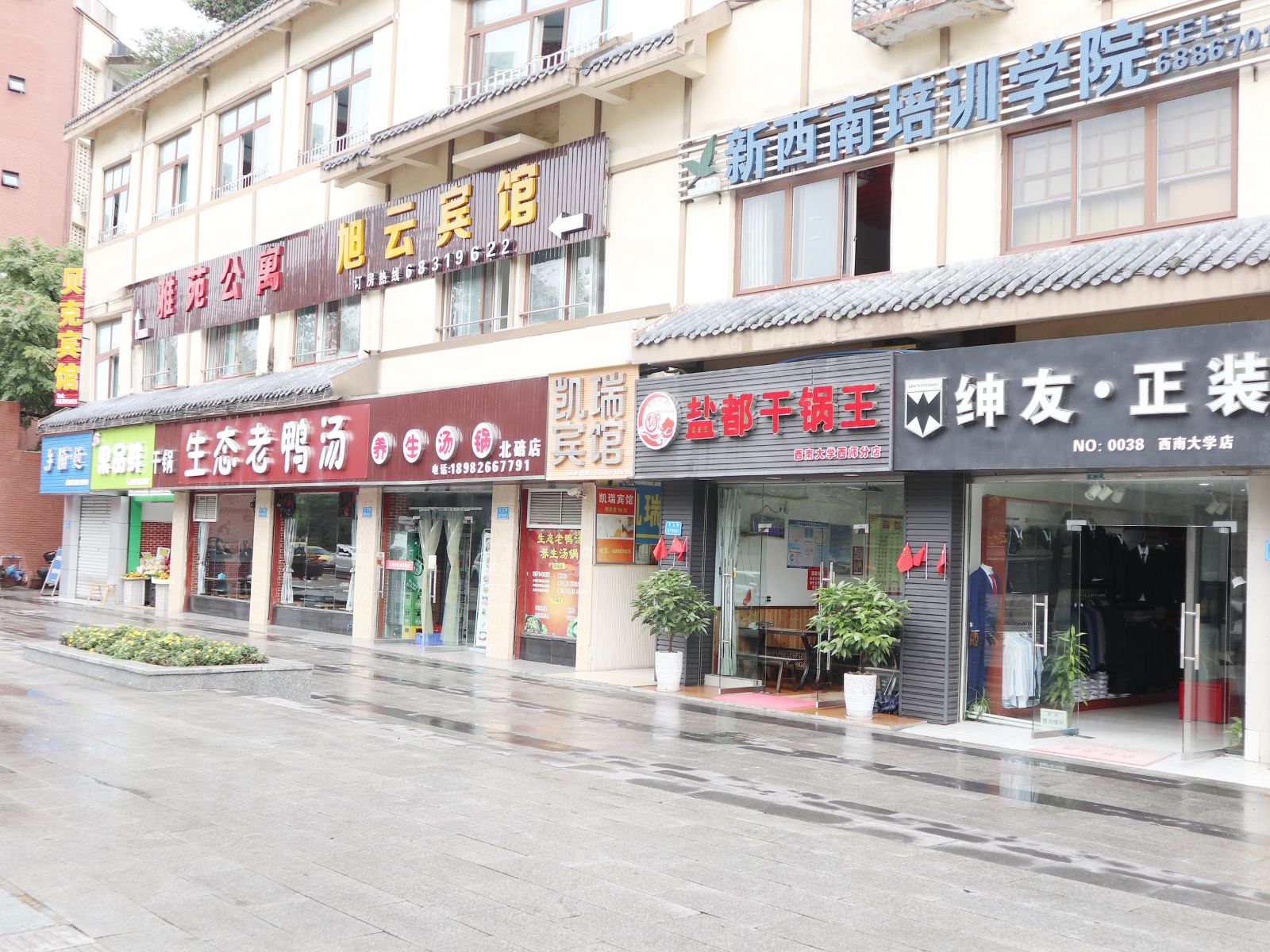 外观