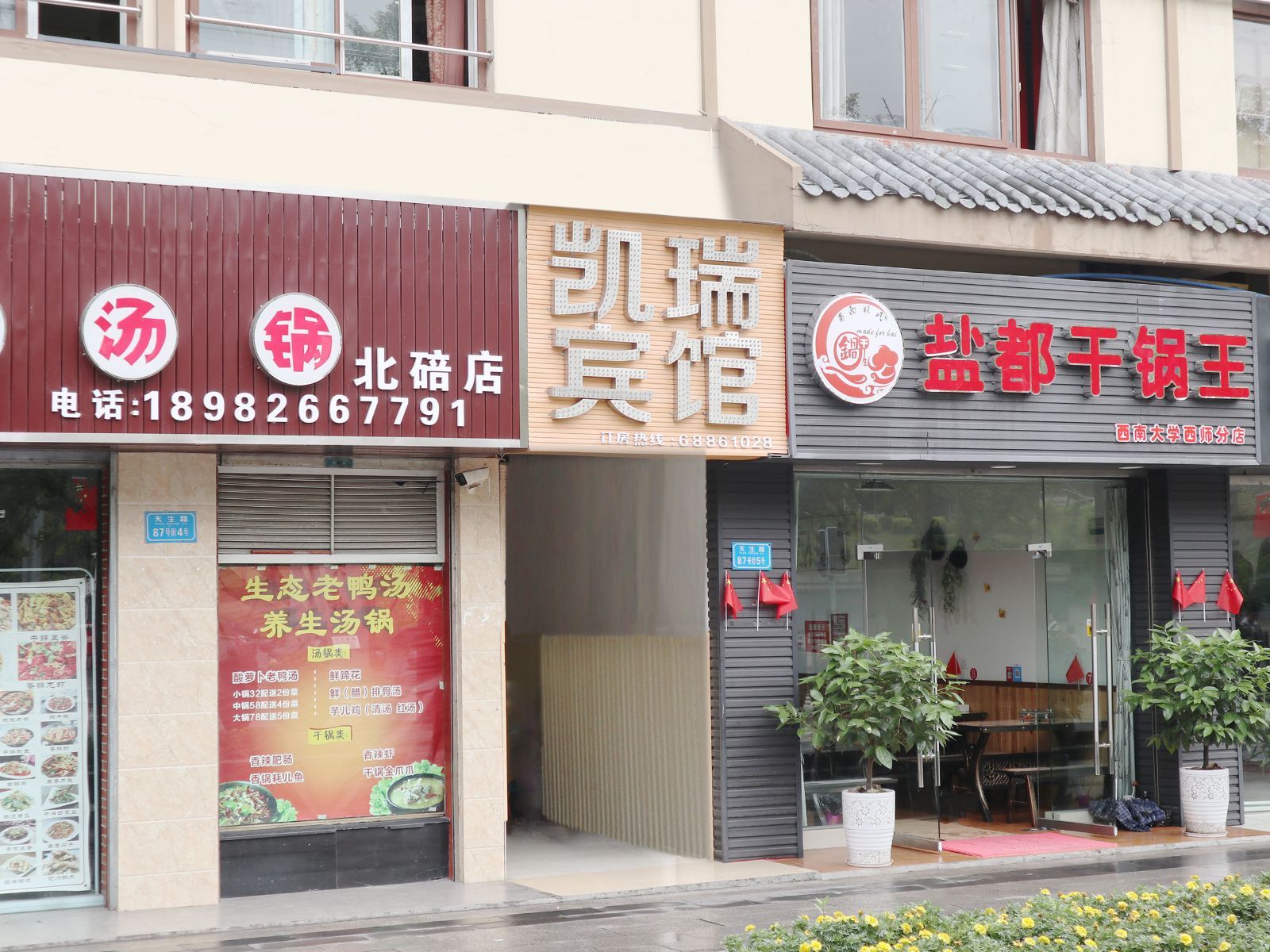 外观
