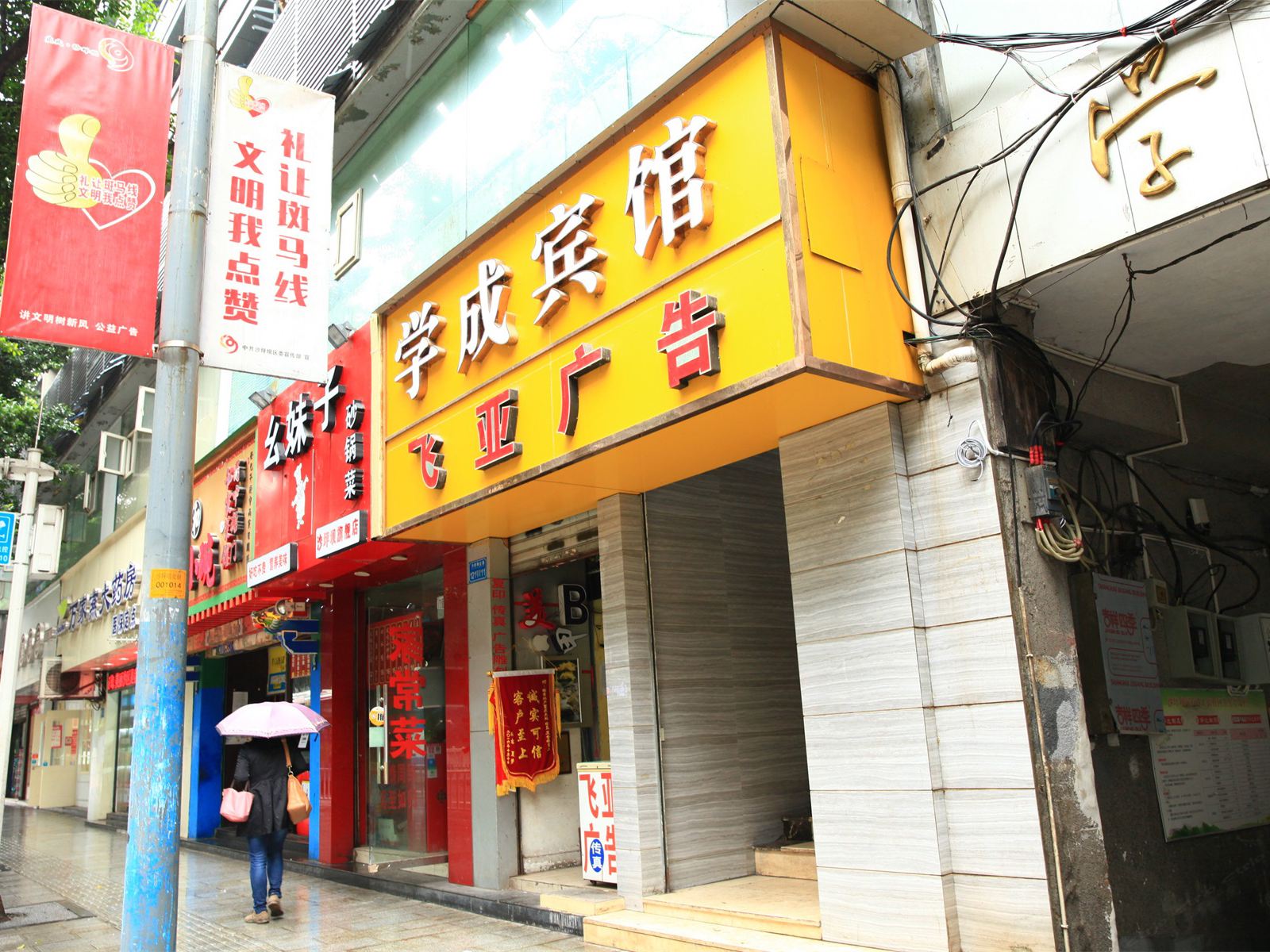 外观