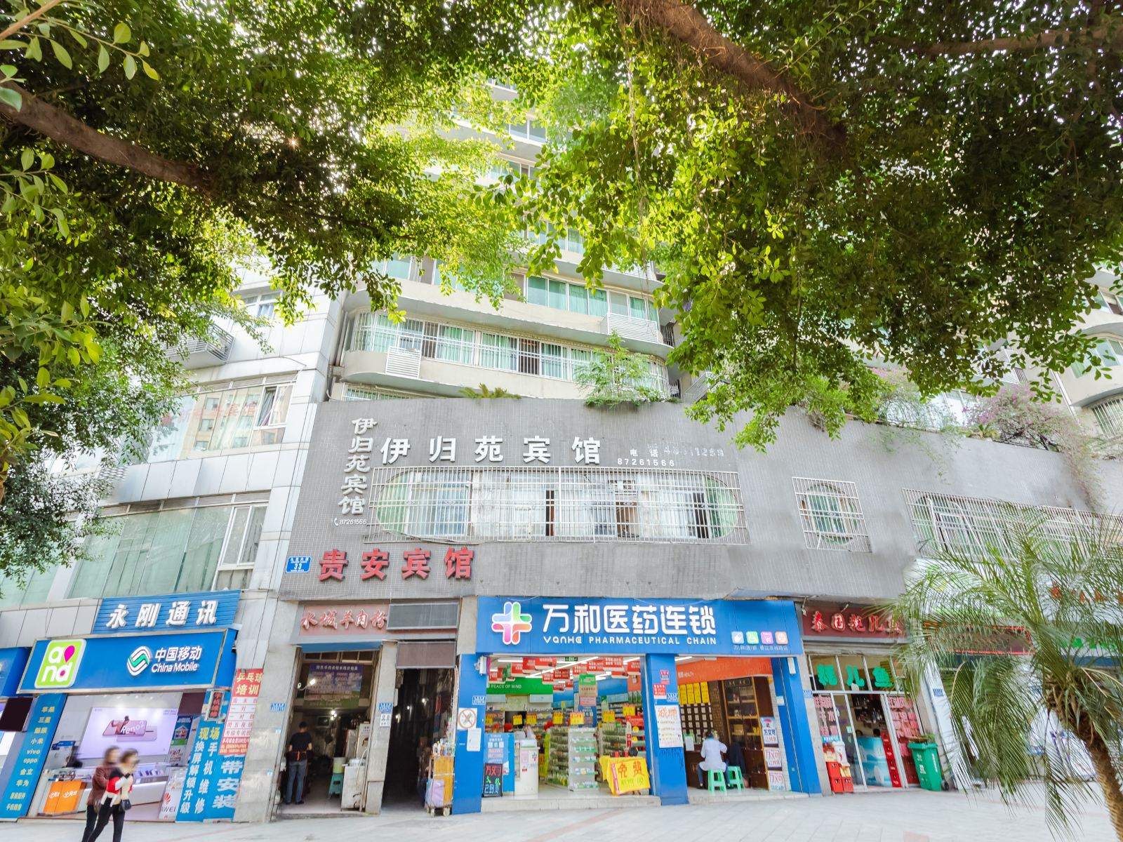 外观