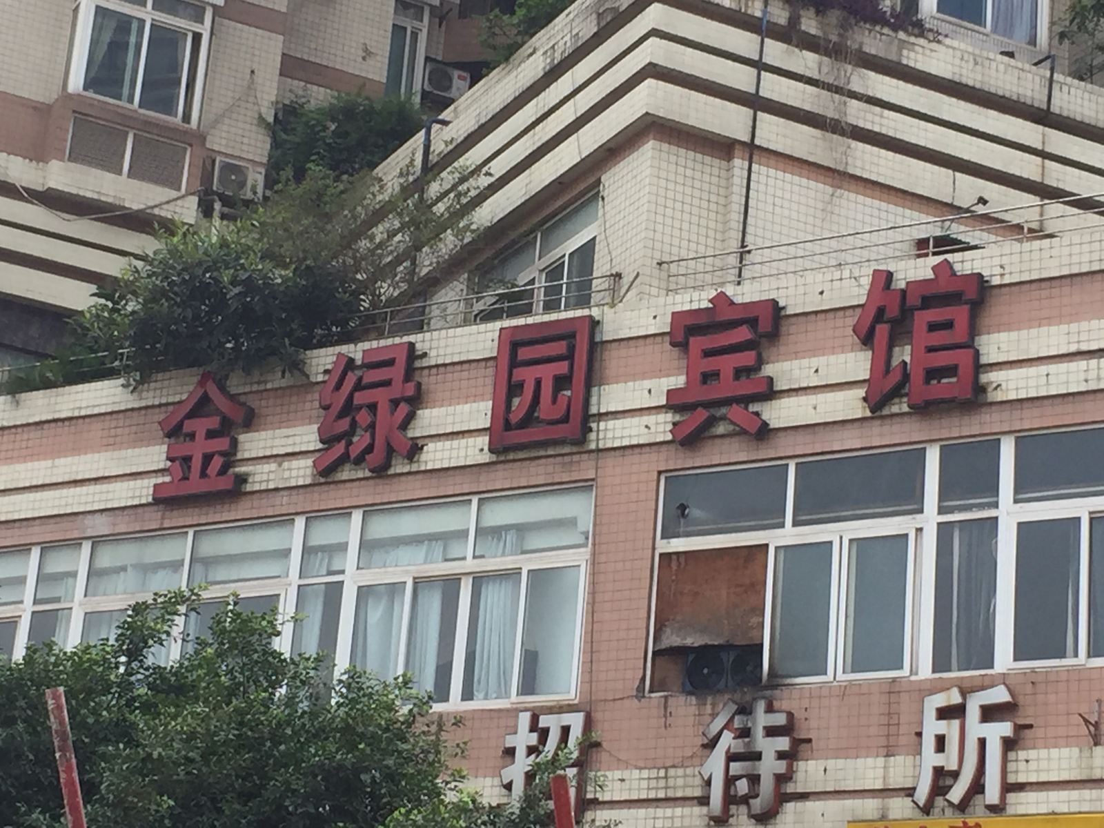 外观