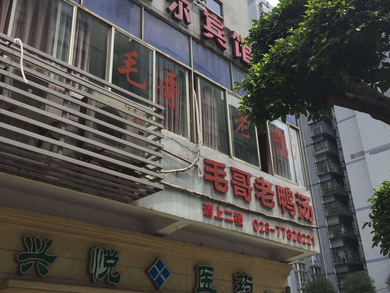 外观