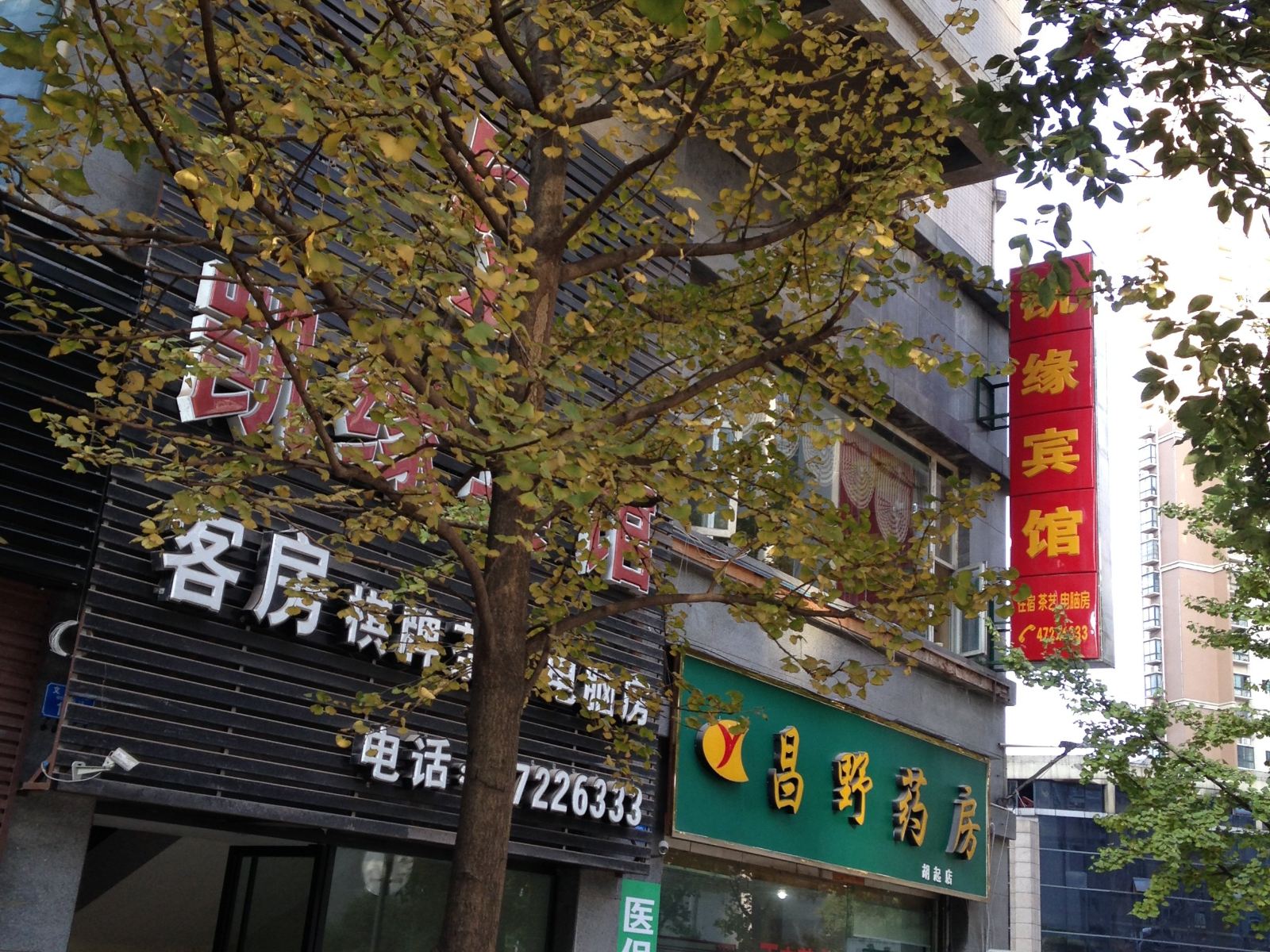 外观
