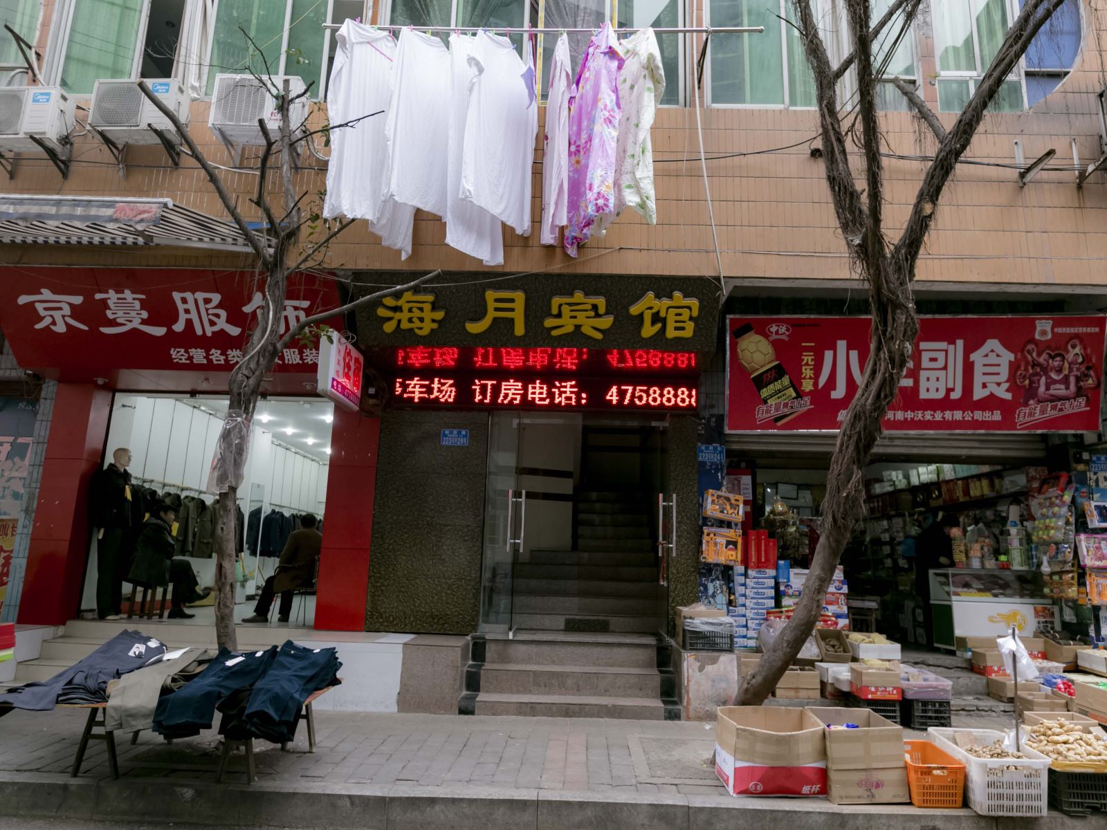 外观