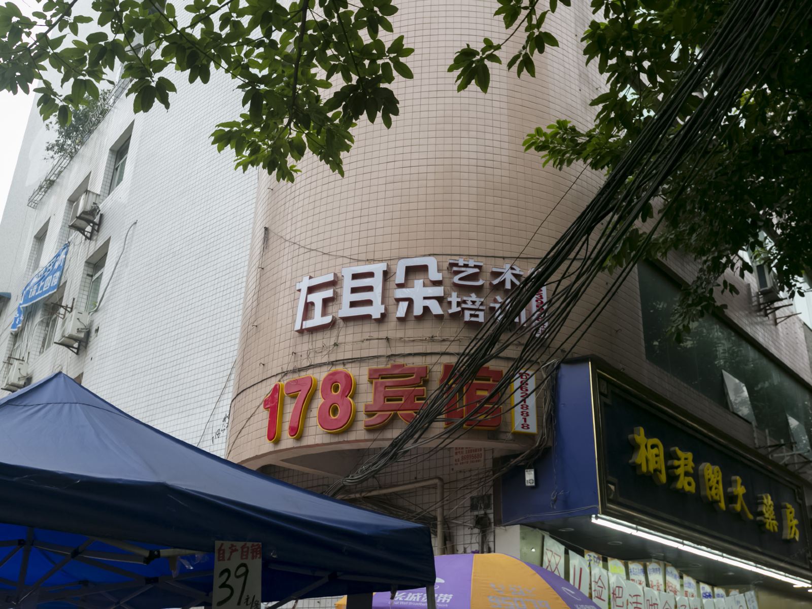 外观