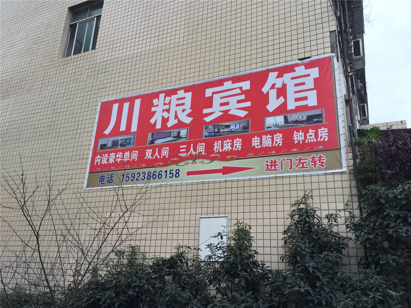 外观